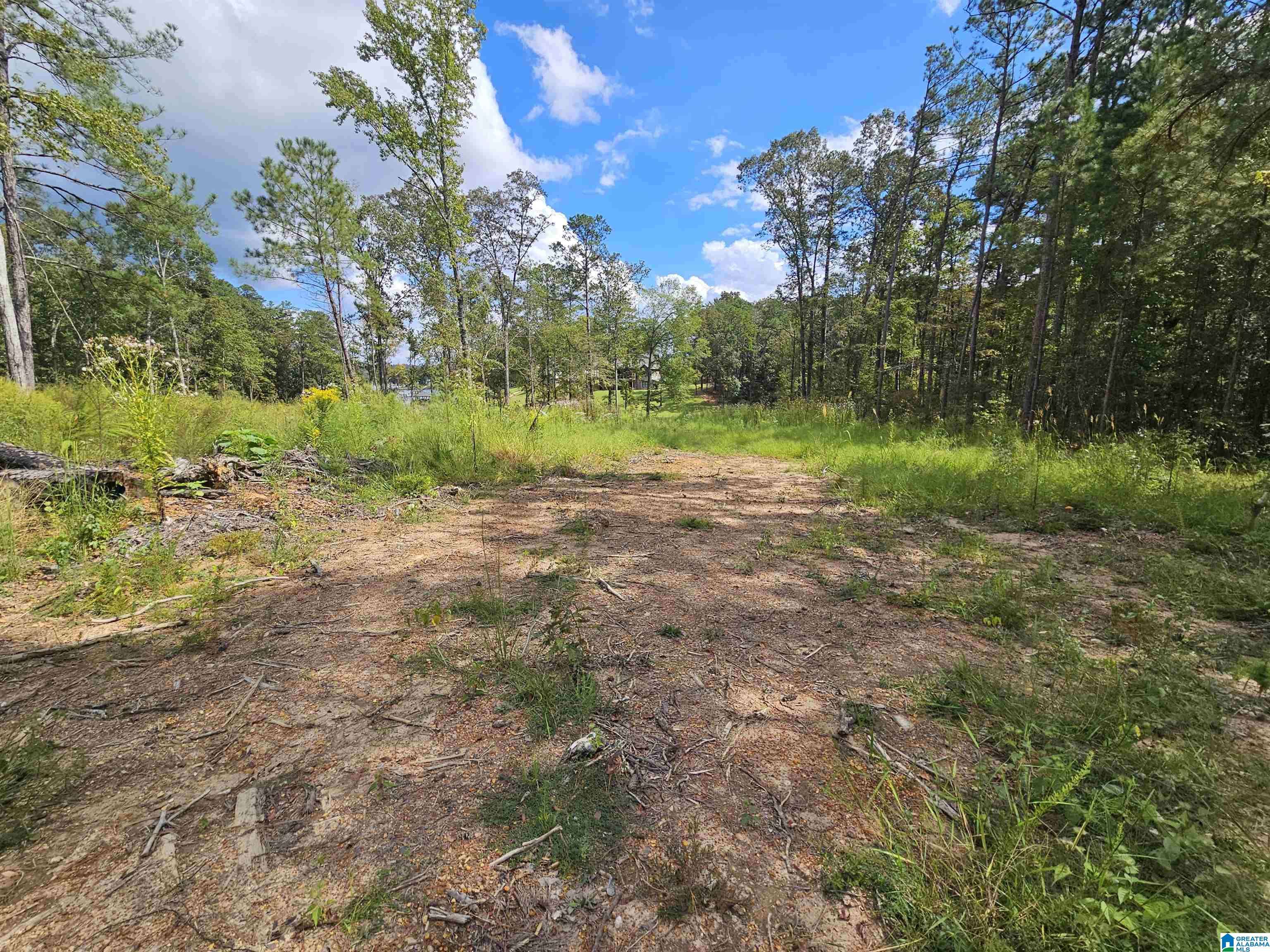 Vincent, AL 35178,21 A BELLS LANE #21A