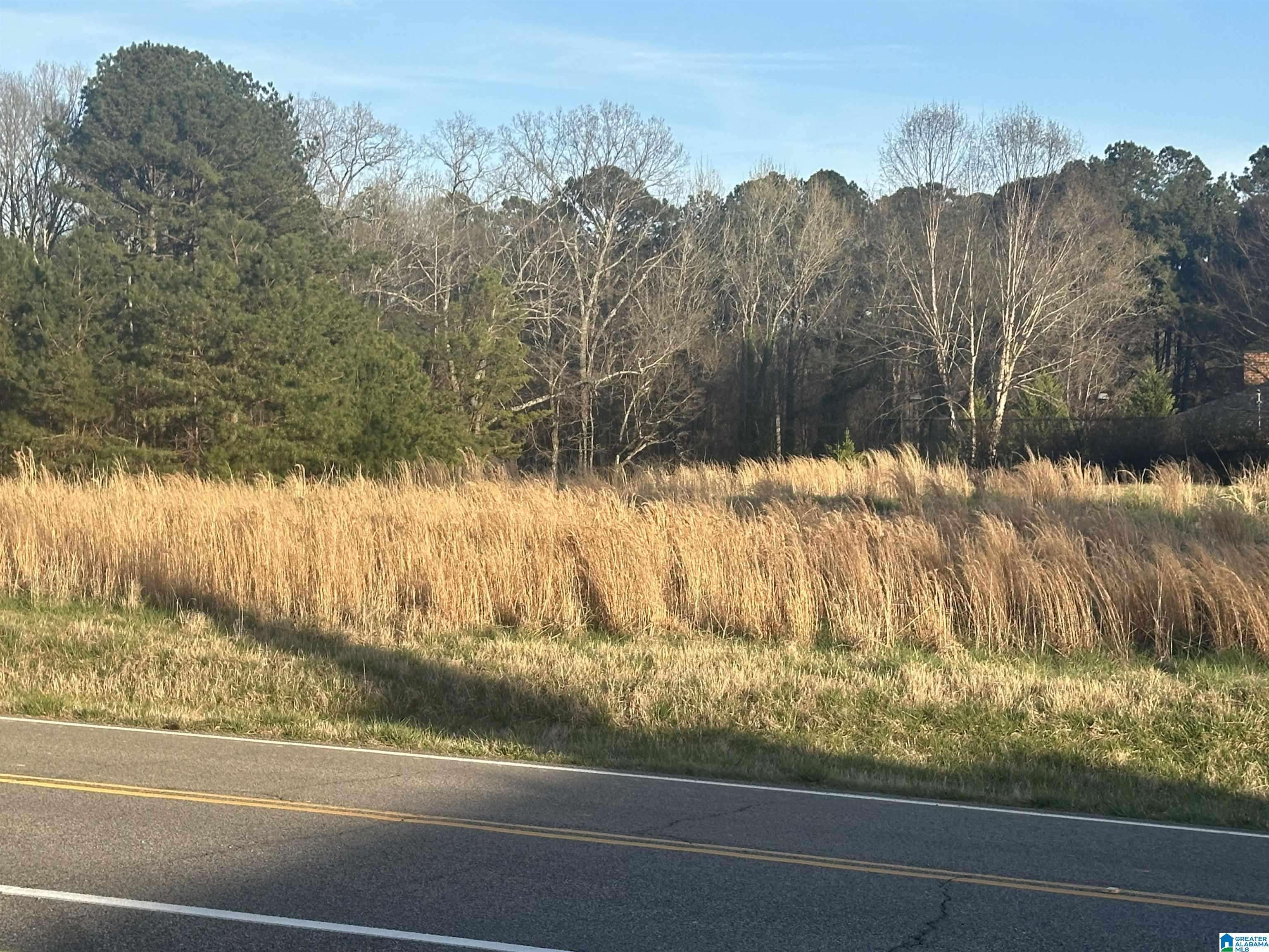 Mount Olive, AL 35117,1845 BROOKSIDE ROAD #0