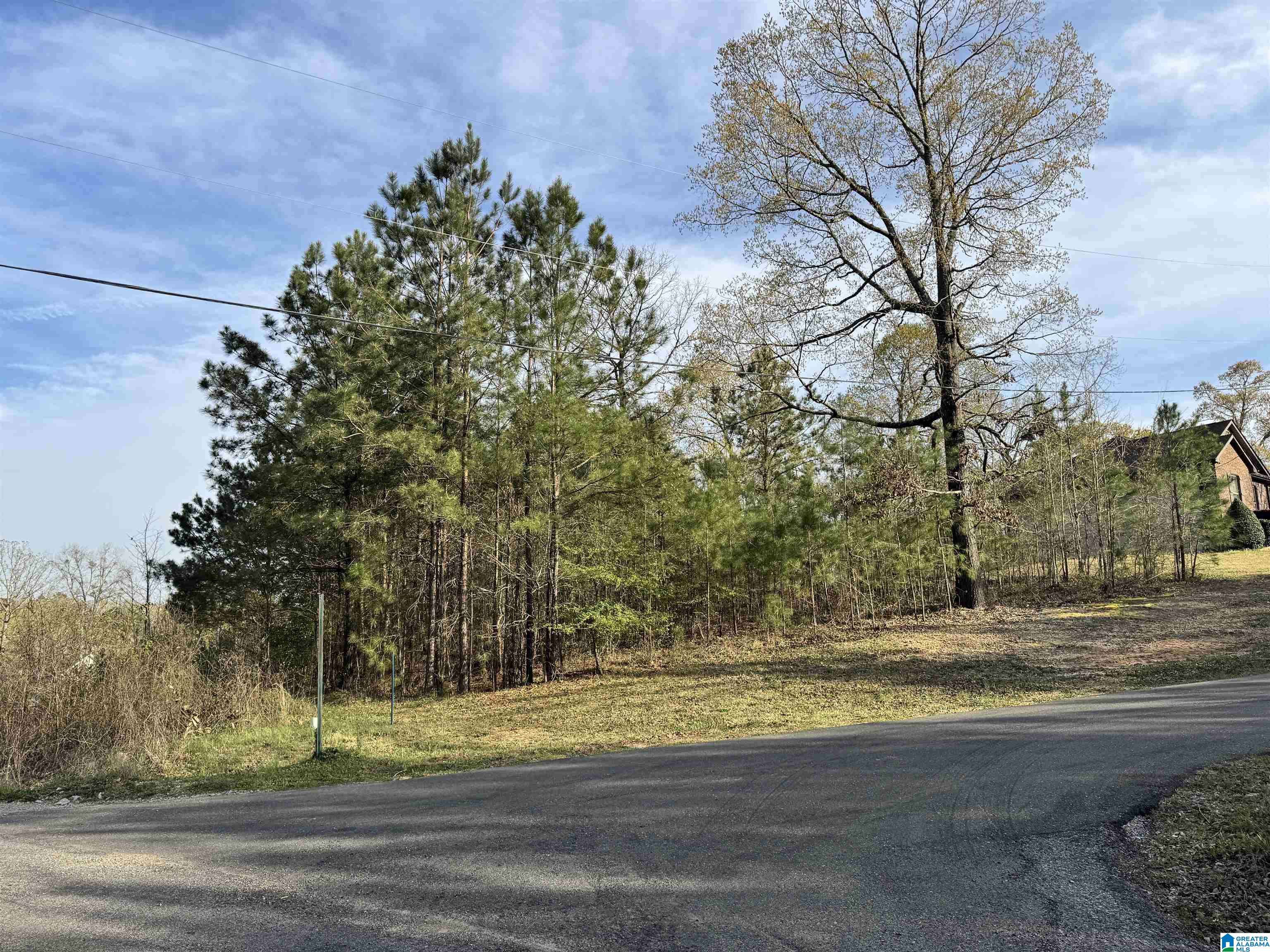 Woodstock, AL 35188,20143 MOLLY TRACE #16