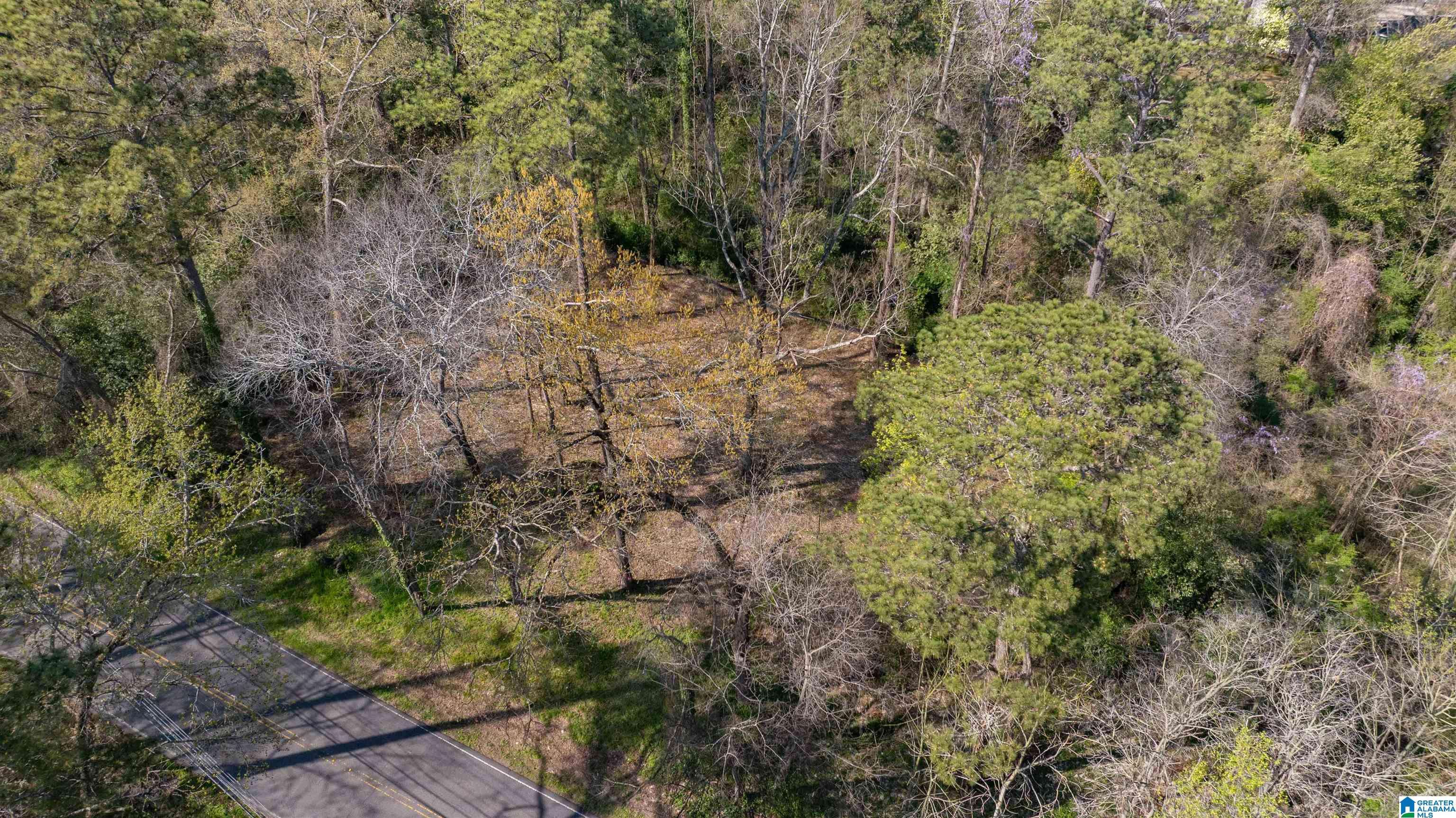 Cahaba Heights, AL 35243,3328 CAHABA HEIGHTS ROAD #3A