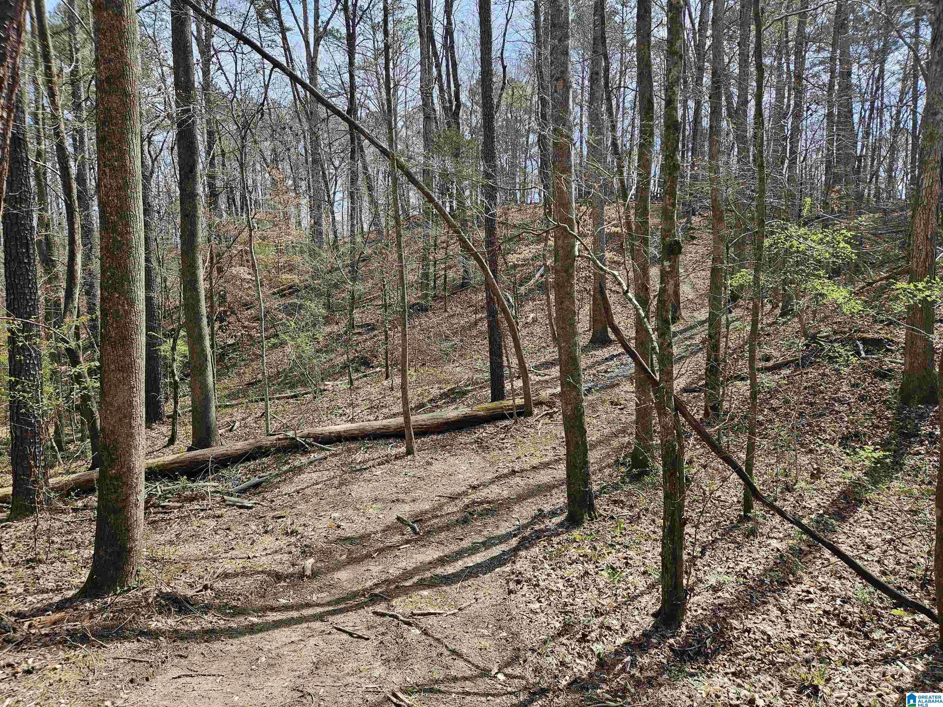 Trussville, AL 35173,0 HAMMOCK ROAD #0