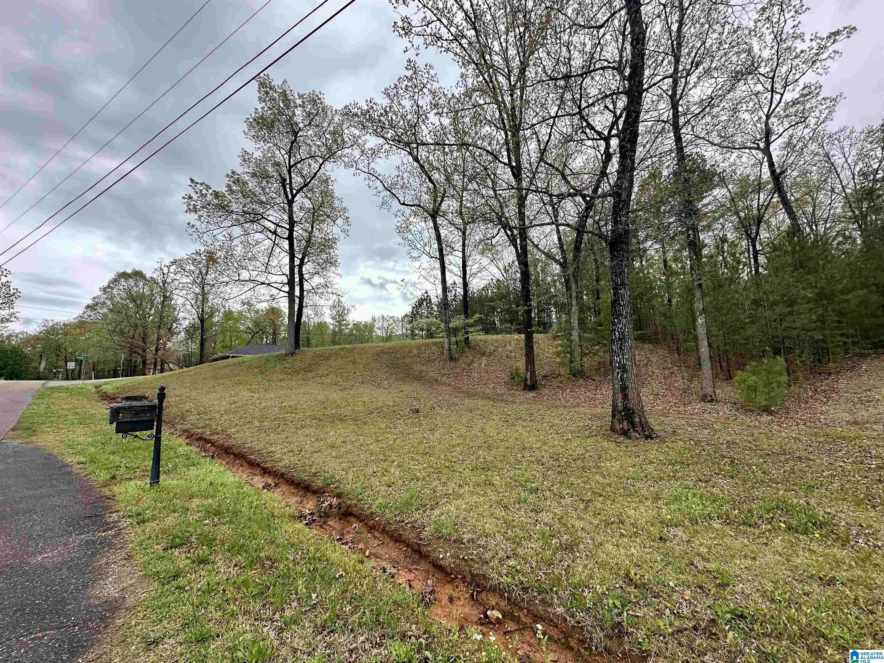 Sylacauga, AL 35151,0 JONES DRIVE #15