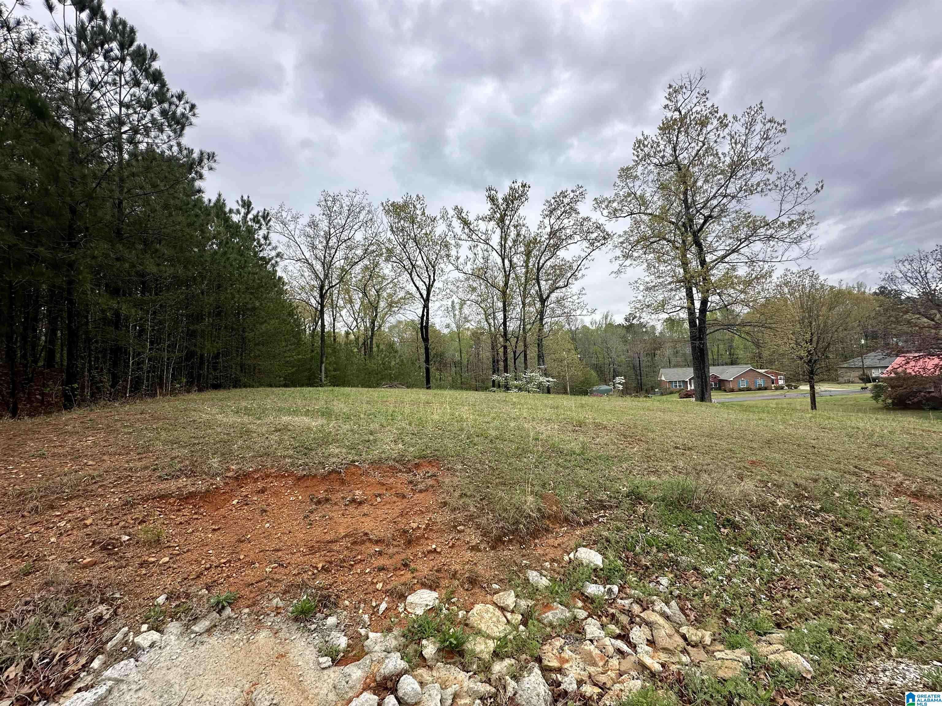 Sylacauga, AL 35151,0 JONES DRIVE #15