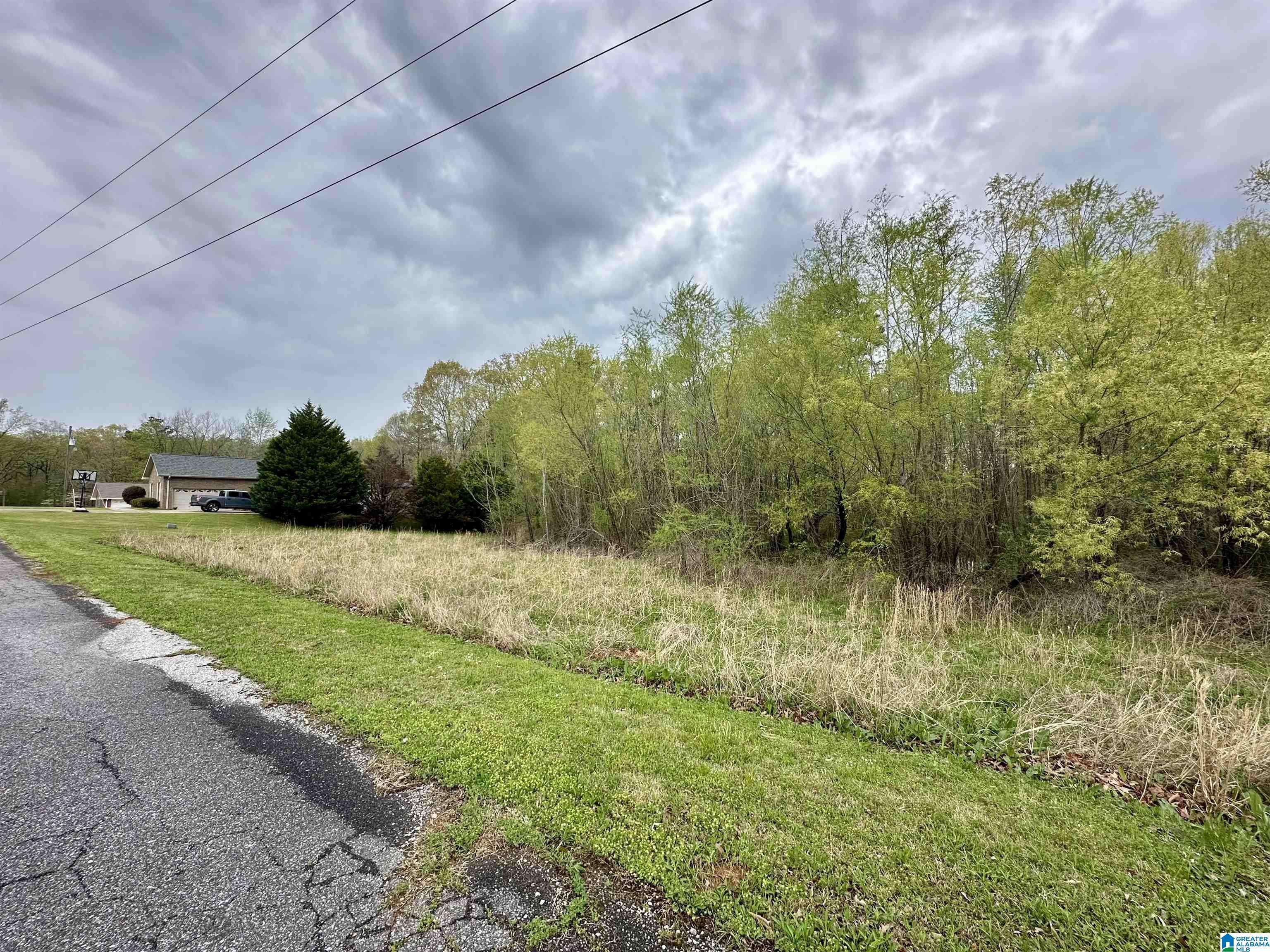 Sylacauga, AL 35151,0 GOLDEN CREST DRIVE #19, 19a, and 19b