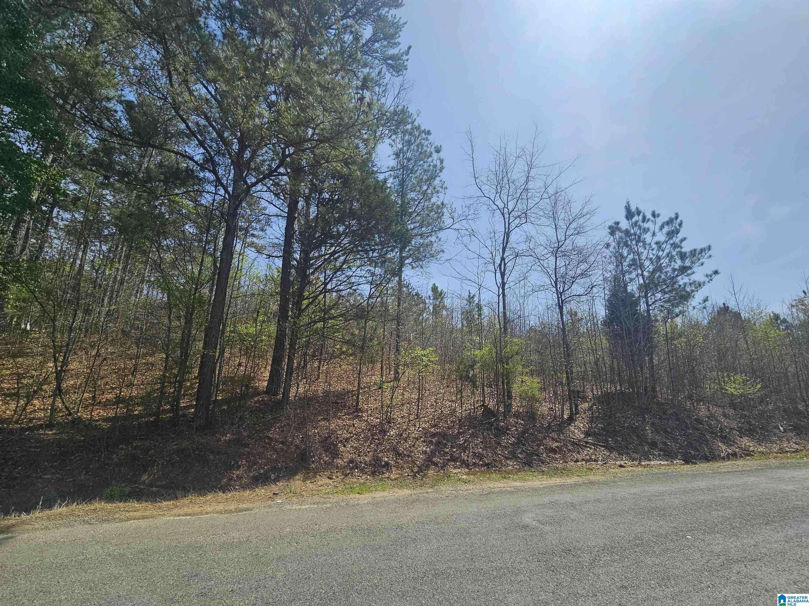 Leeds, AL 35094,0 TRAILS END ROAD #0