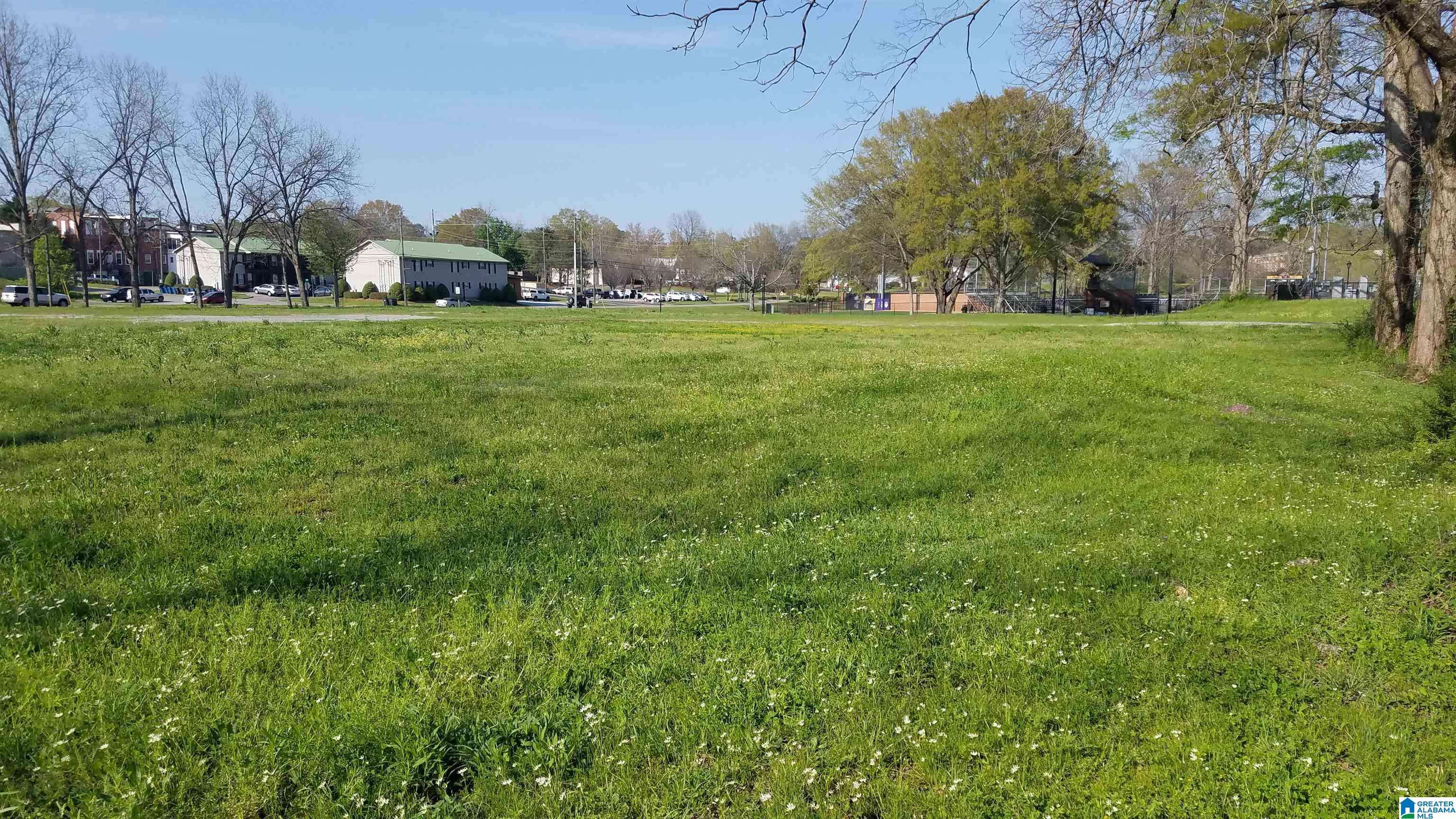 Montevallo, AL 35115,550 MIDDLE STREET #550