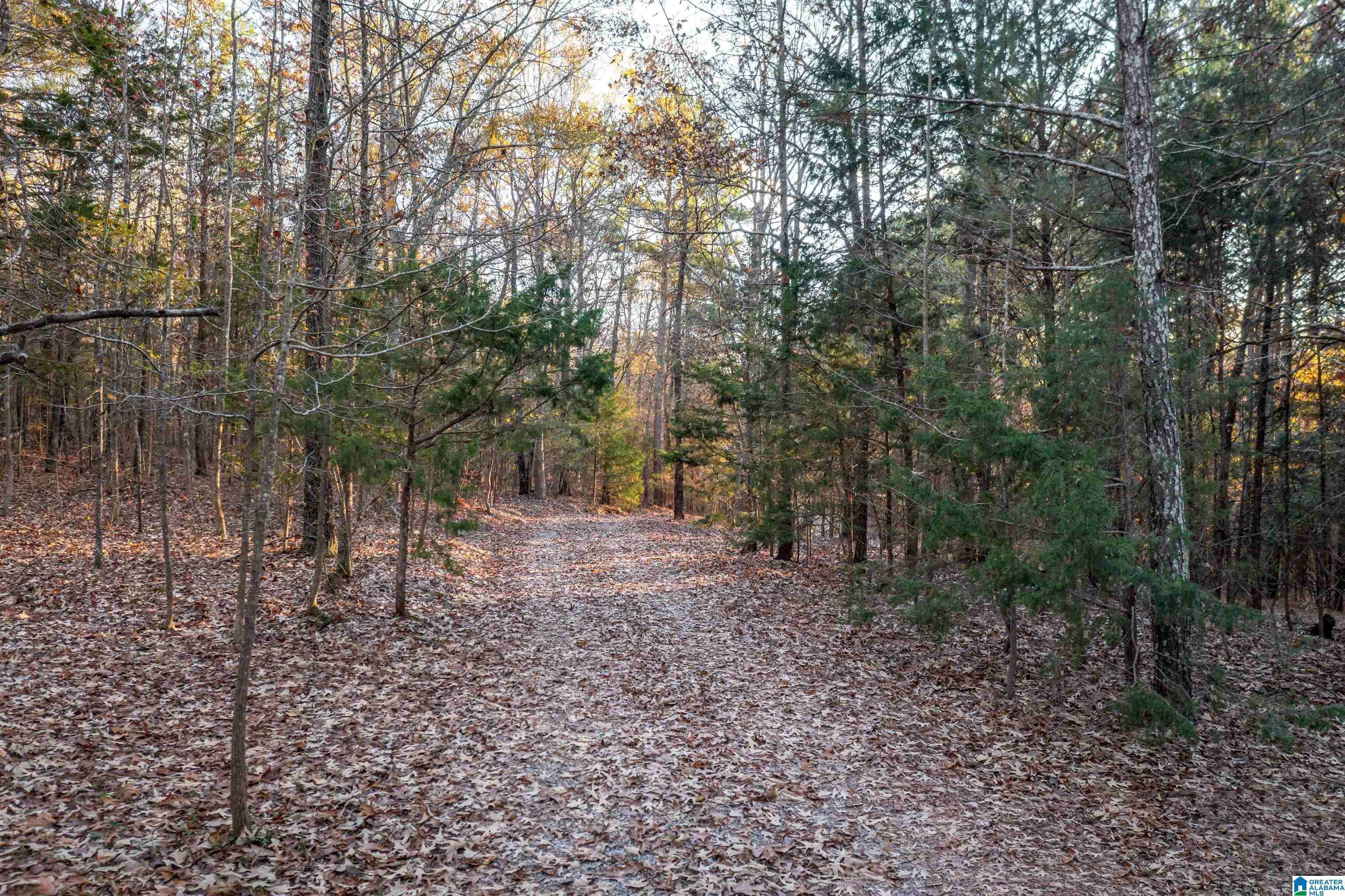 Piedmont, AL 36272,905 COUNTY ROAD 179