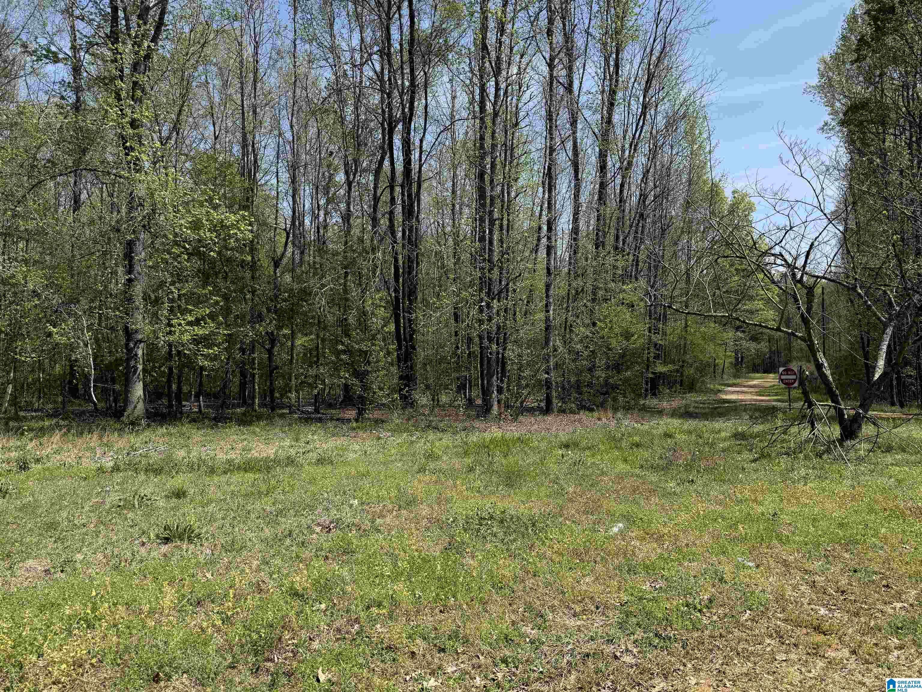 Moundville, AL 35474,1781 RIVERVIEW BEACH ROAD #1781