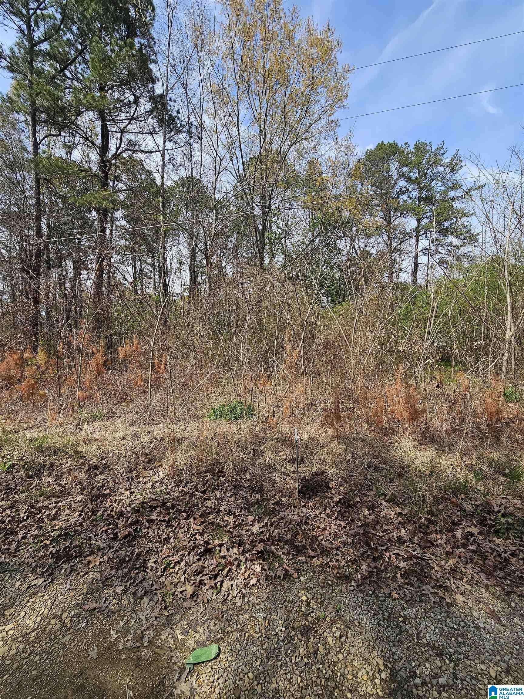 Ashville, AL 35953,LOT 773 TAFT ROAD #773