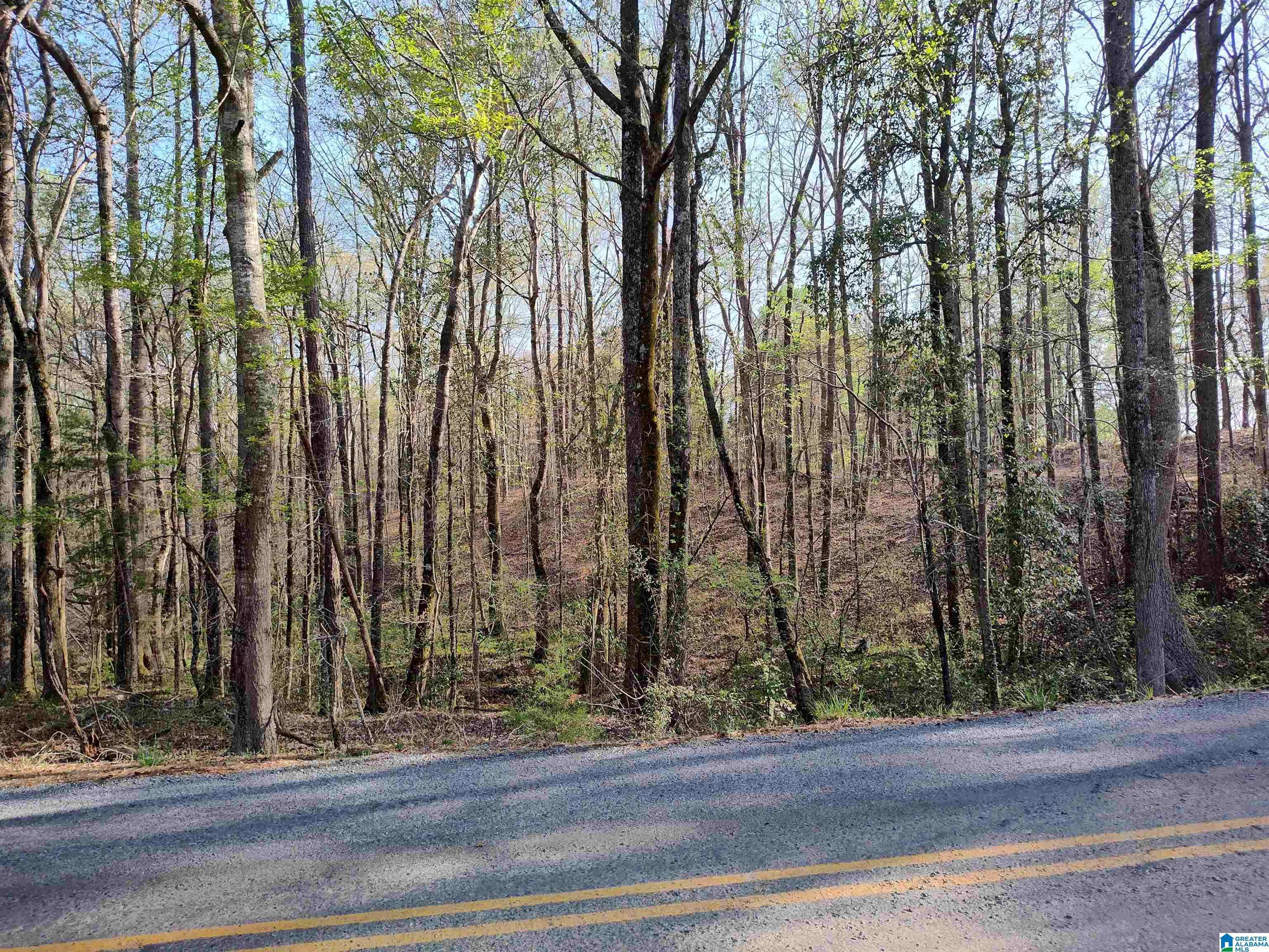 Sylacauga, AL 35150,0 SETTLEMENT ROAD #0