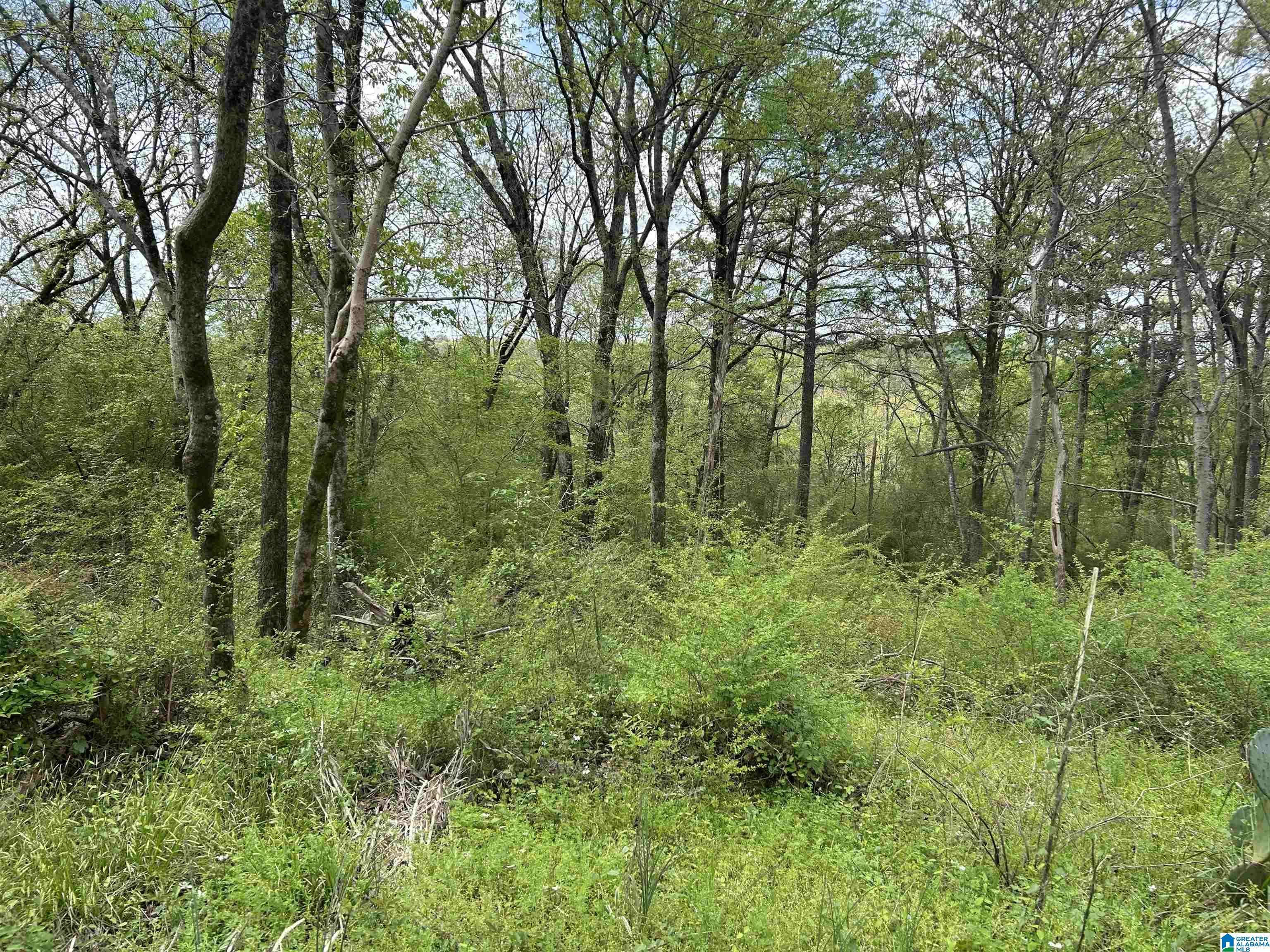 Bessemer, AL 35023,3185 CREST OVAL MTN ROAD #1.8ACRES