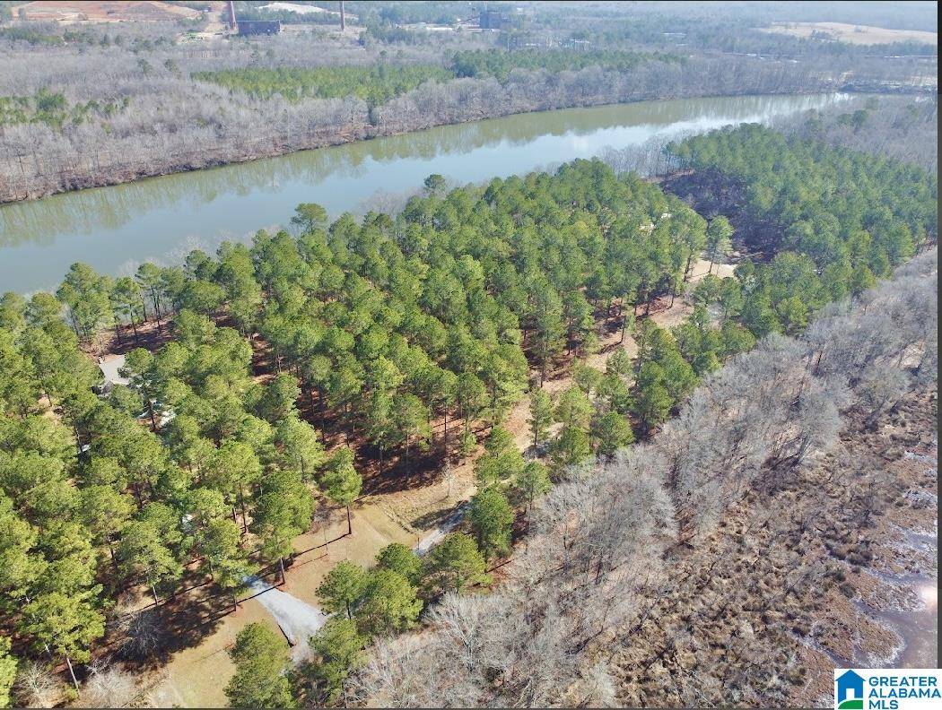 Vincent, AL 35178,643 LIBERTY SHORES BOULEVARD #Lot #9B