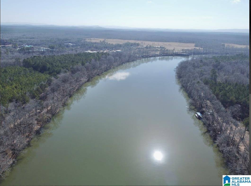 Vincent, AL 35178,643 LIBERTY SHORES BOULEVARD #Lot #9B