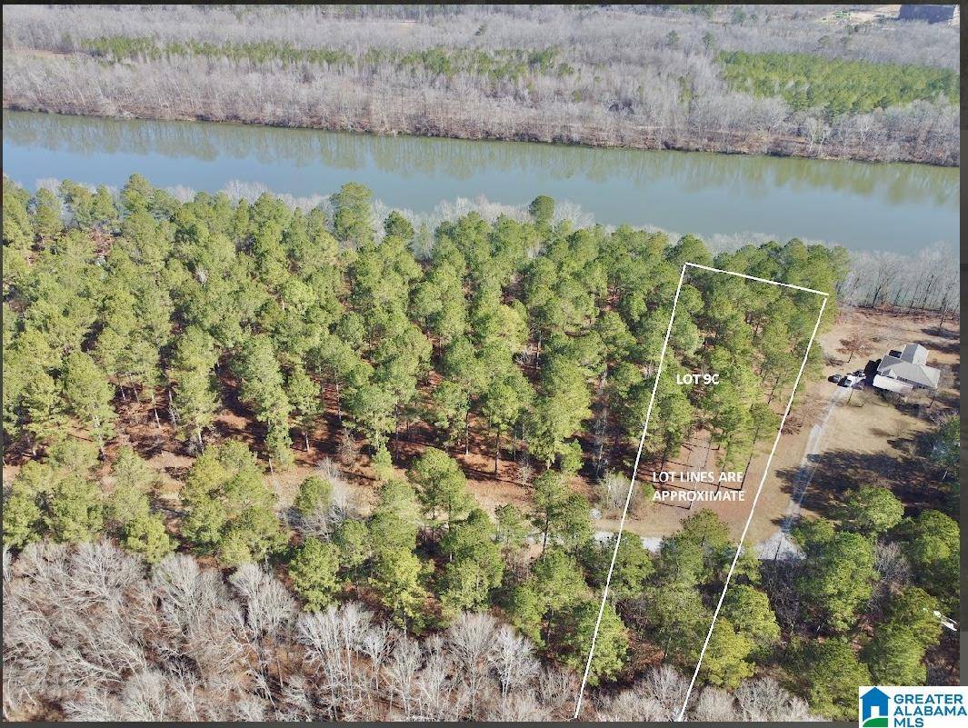 Vincent, AL 35178,650 & 651 LIBERTY SHORES BOULEVARD #Lot #9C
