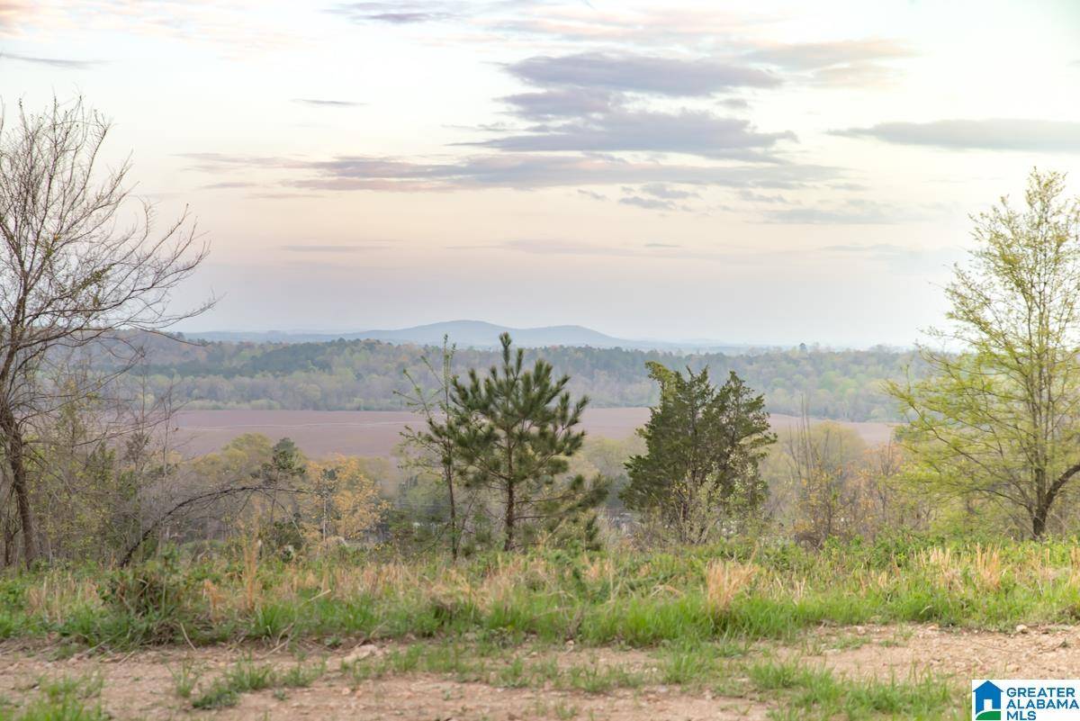 Vincent, AL 35178,4947 HIGHWAY 231 #3