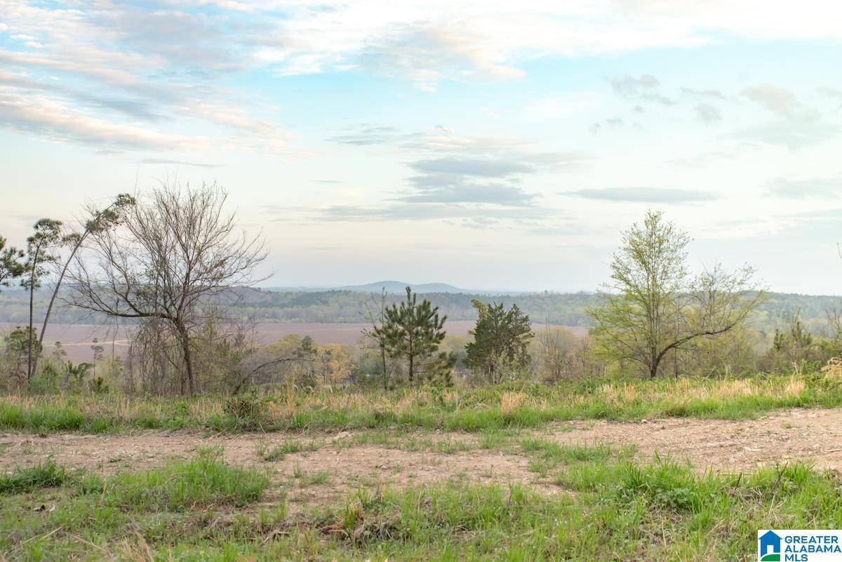 Vincent, AL 35178,4947 HIGHWAY 231 #3