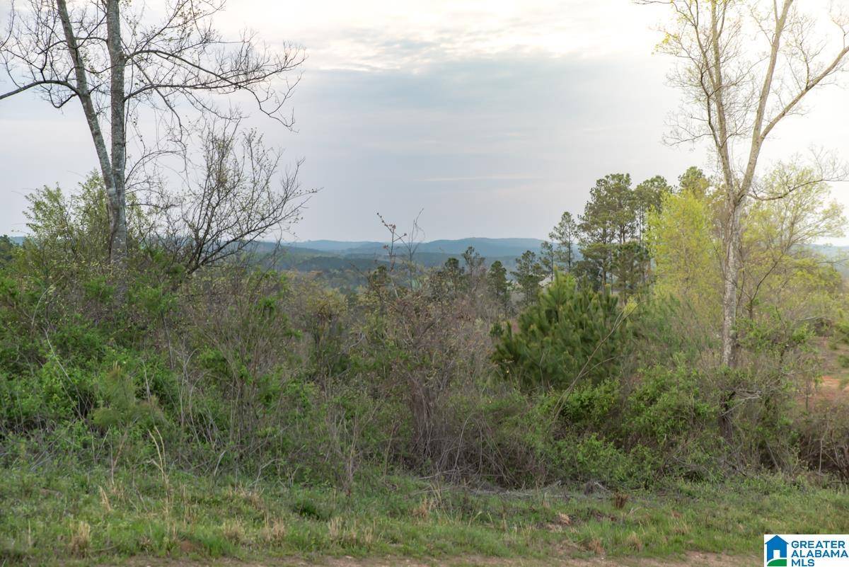 Vincent, AL 35178,4947 HIGHWAY 231 #6