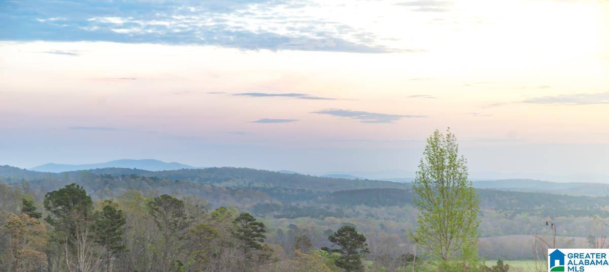 Vincent, AL 35178,4947 HIGHWAY 231 #6