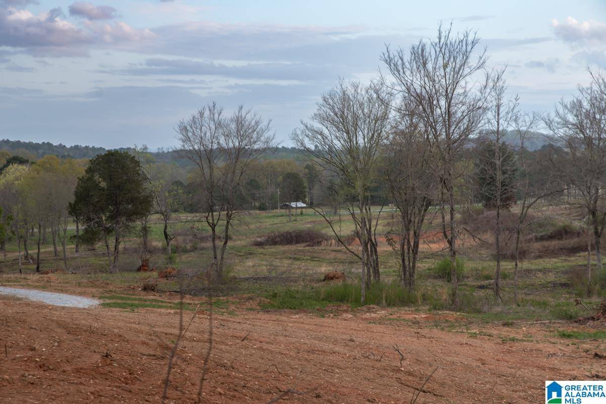 Vincent, AL 35178,4947 HIGHWAY 231 #Unit 1/Lots 2-6