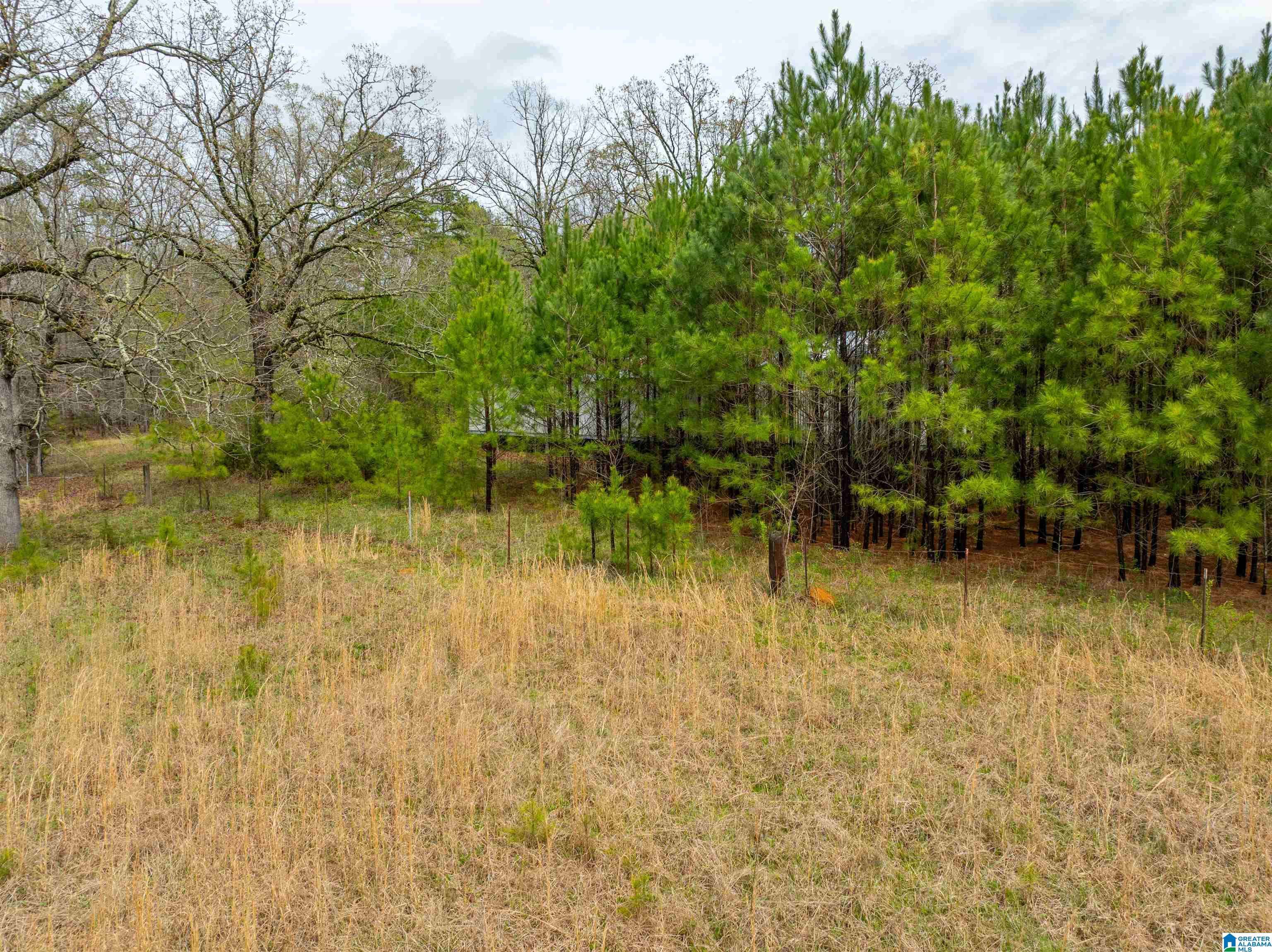 Piedmont, AL 36272,0 HIGHWAY 278 #1