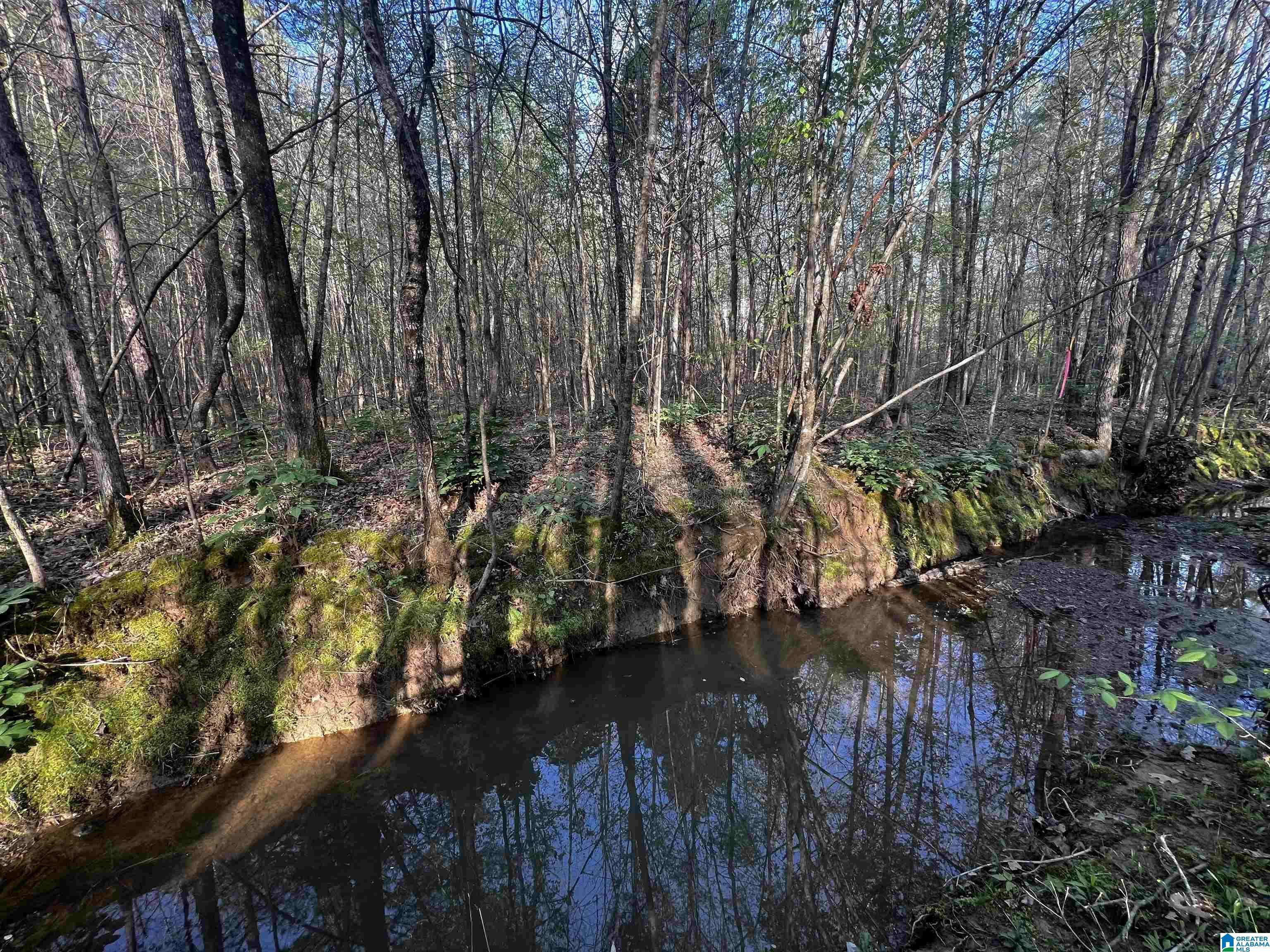 Ohatchee, AL 36271,0 FRANCIS MILL ROAD #Tract #1