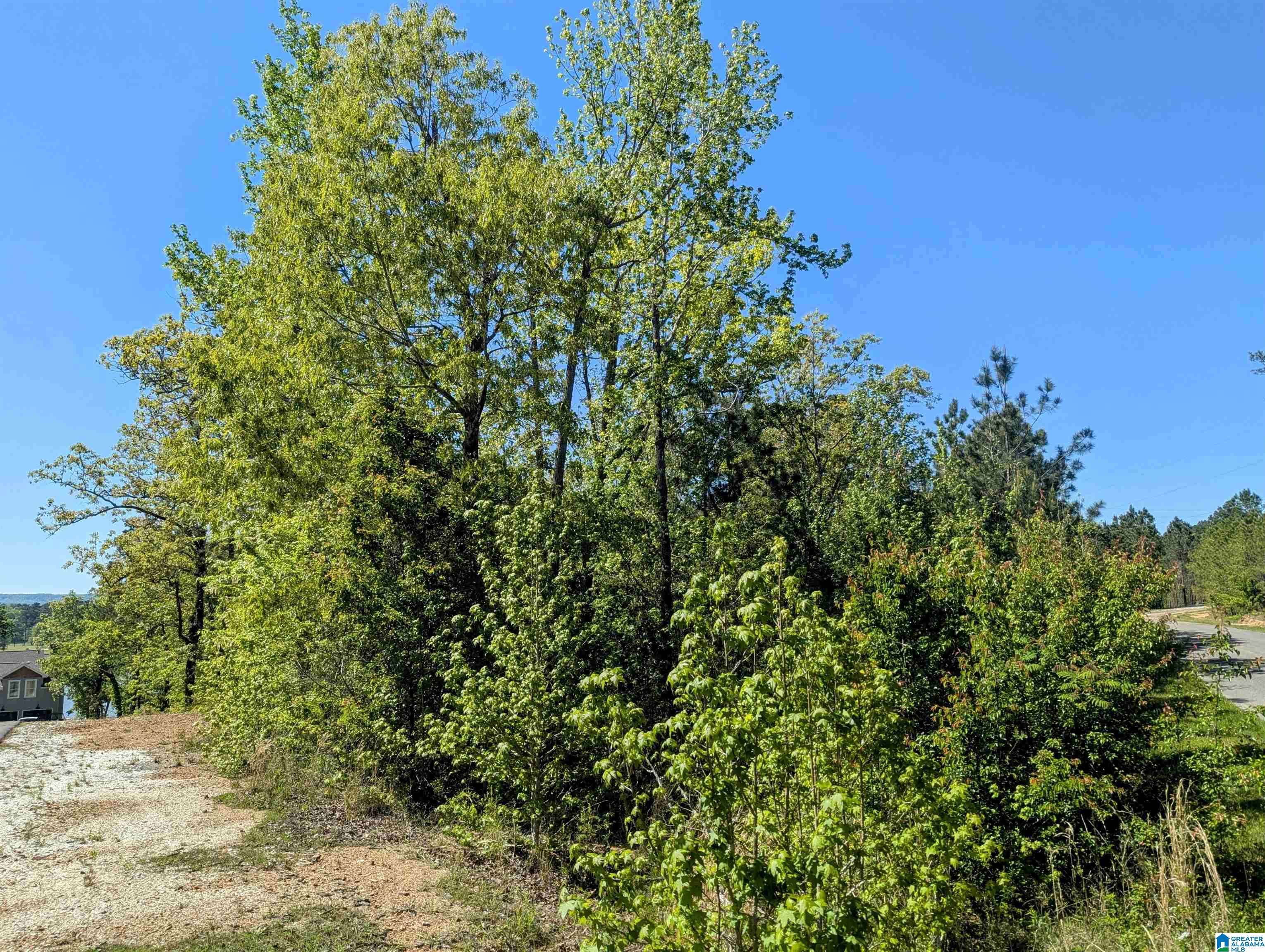 Sylacauga, AL 35151,BROKEN ARROW ROAD #122