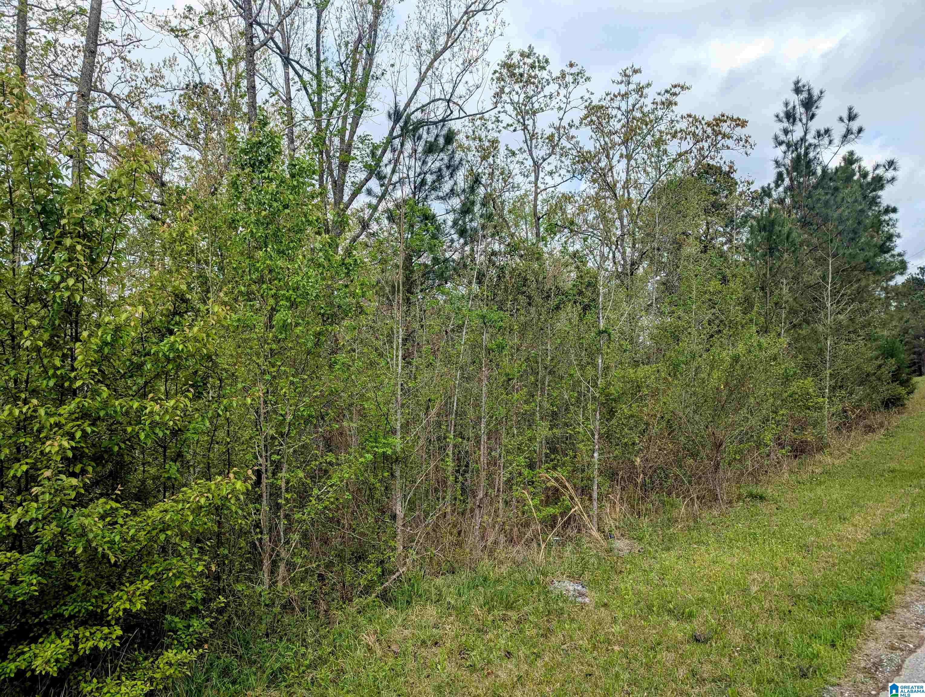 Sylacauga, AL 35151,BROKEN ARROW ROAD #122