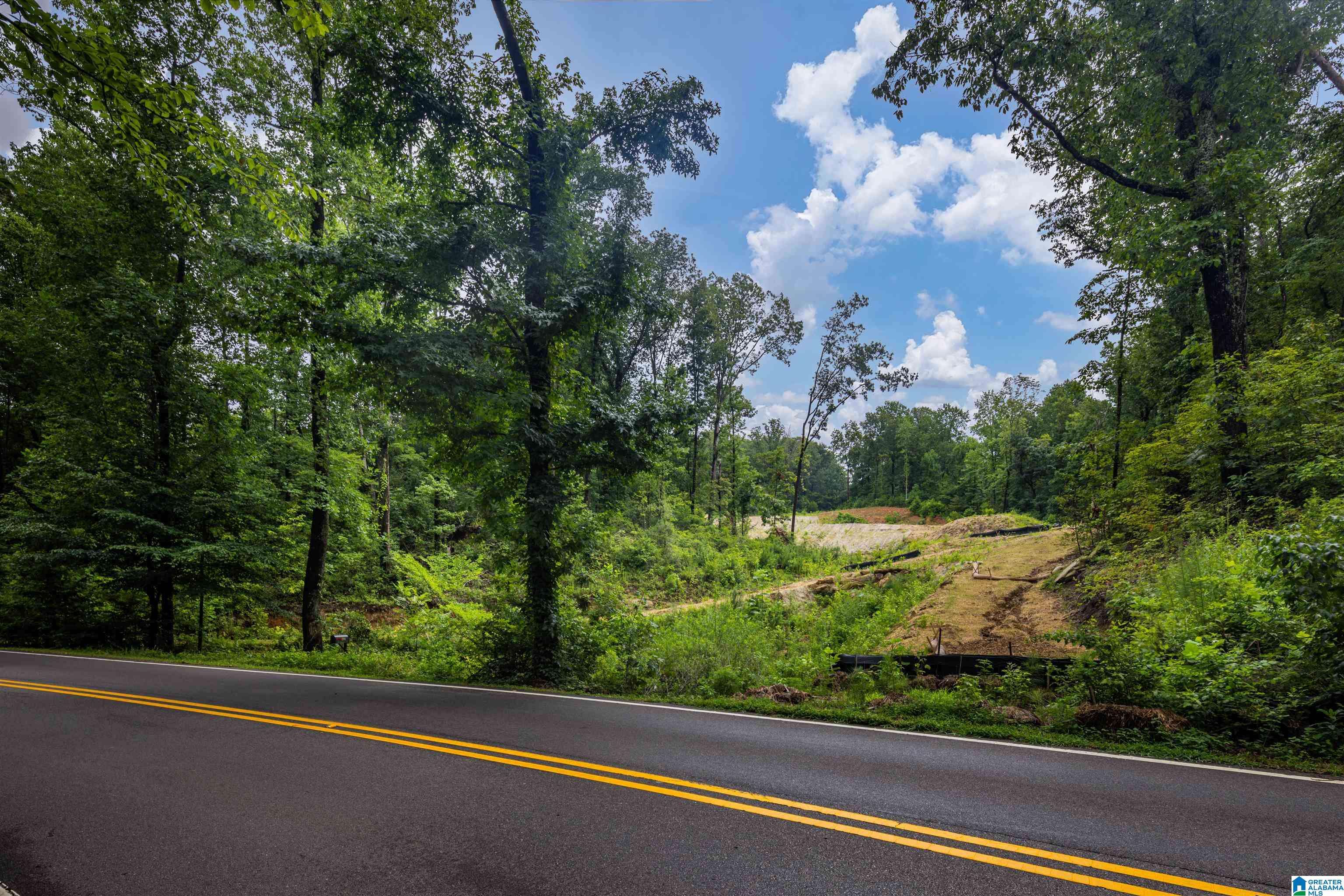 Mountain Brook, AL 35223,2841 CHEROKEE ROAD #2841