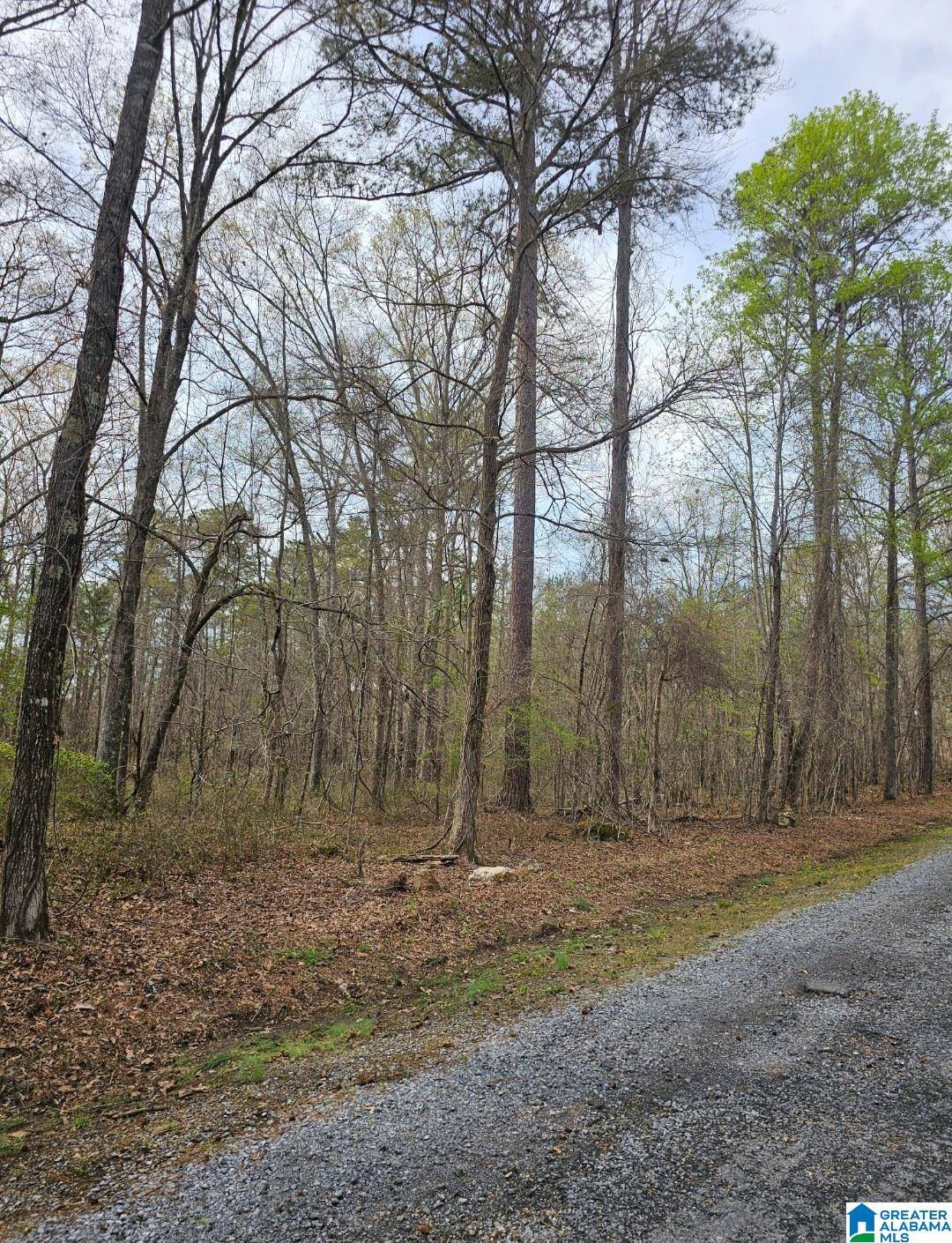 Talladega, AL 35160,lot 39 FORESTDALE DRIVE #39