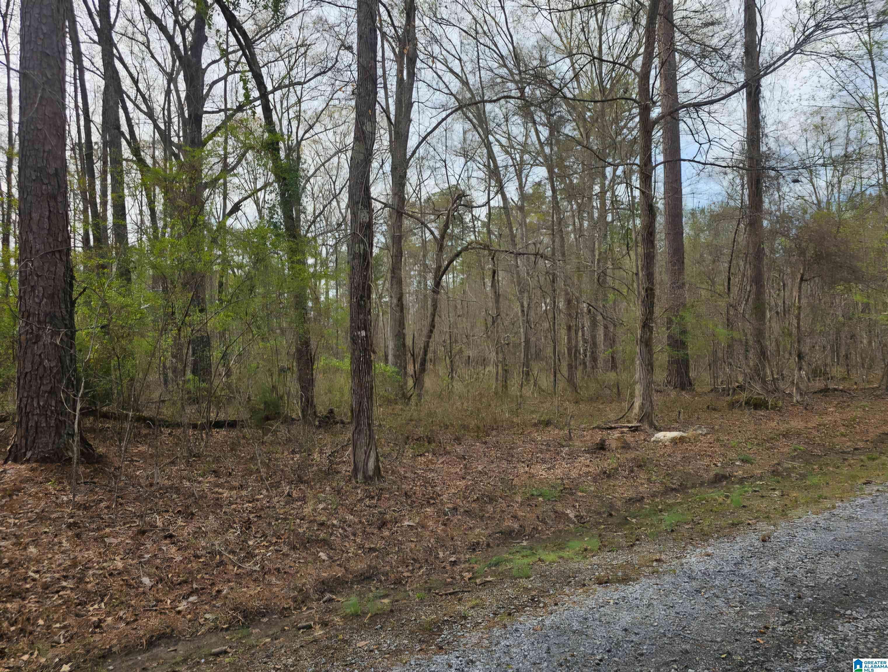 Talladega, AL 35160,lot 39 FORESTDALE DRIVE #39