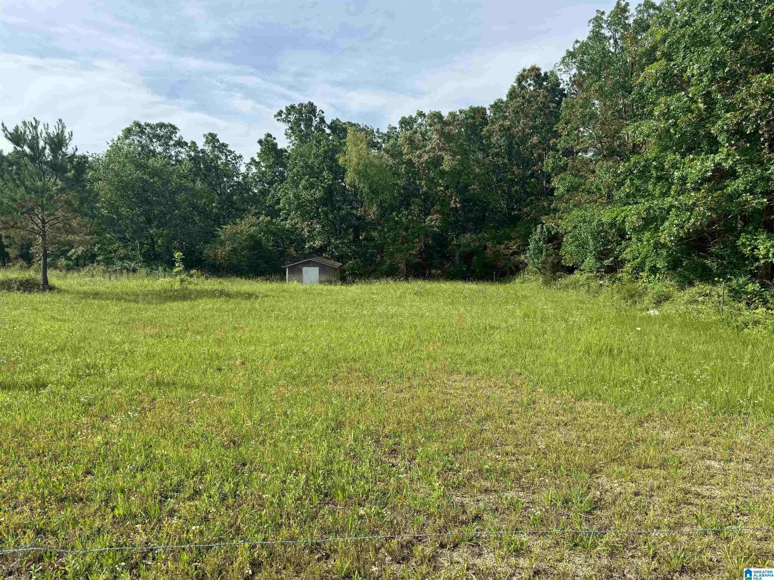 Hackleburg, AL 35570,0 LELAN NICHOLS ROAD #1