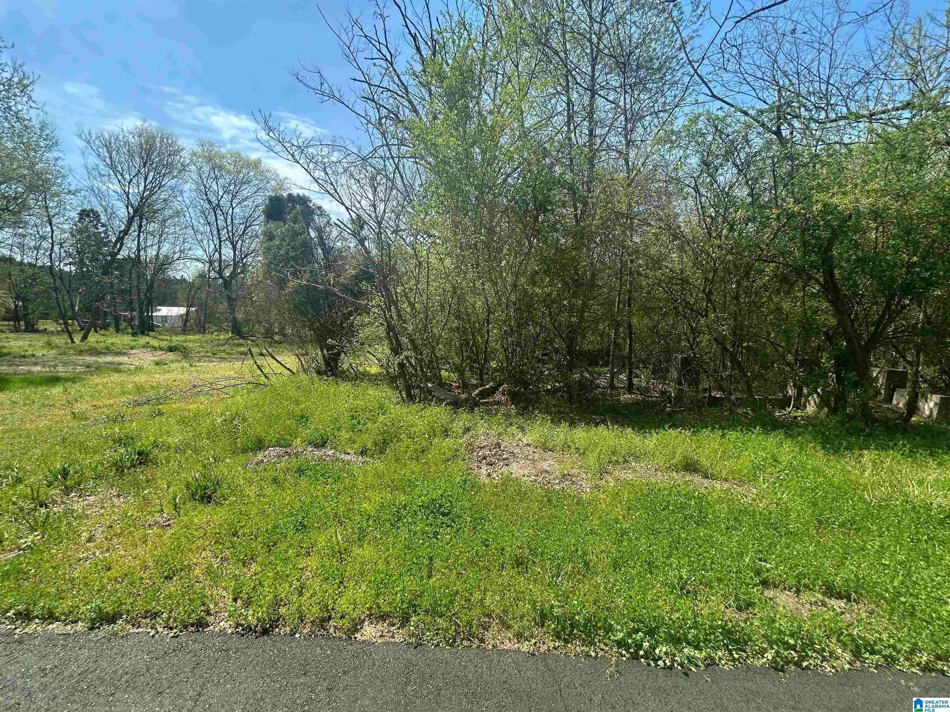 Bessemer, AL 35020,1305 BULLARD STREET #10