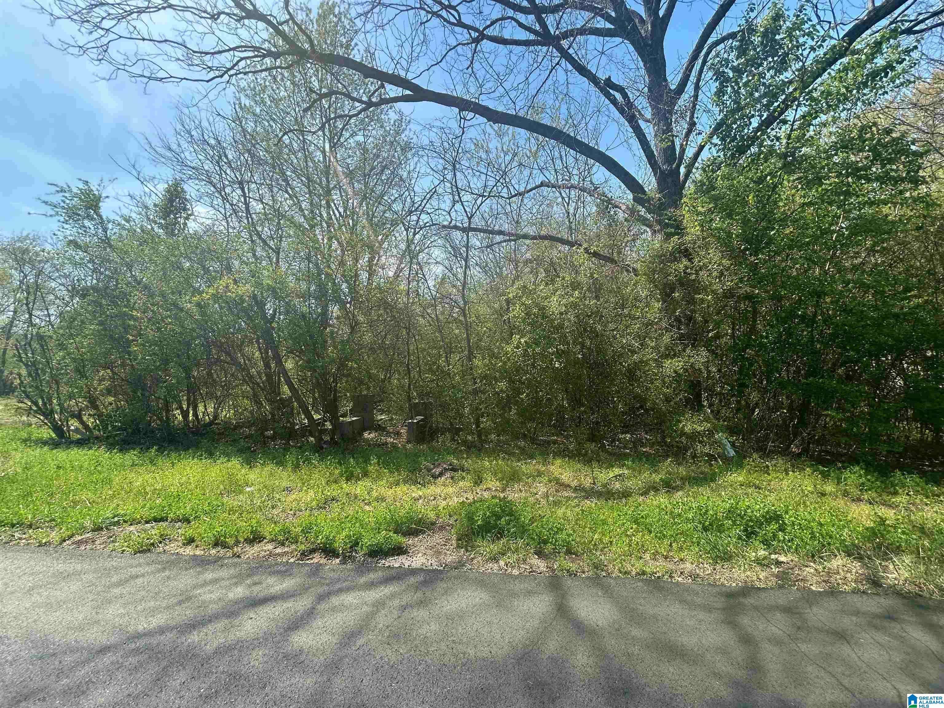 Bessemer, AL 35020,510 BUTLER AVENUE #14