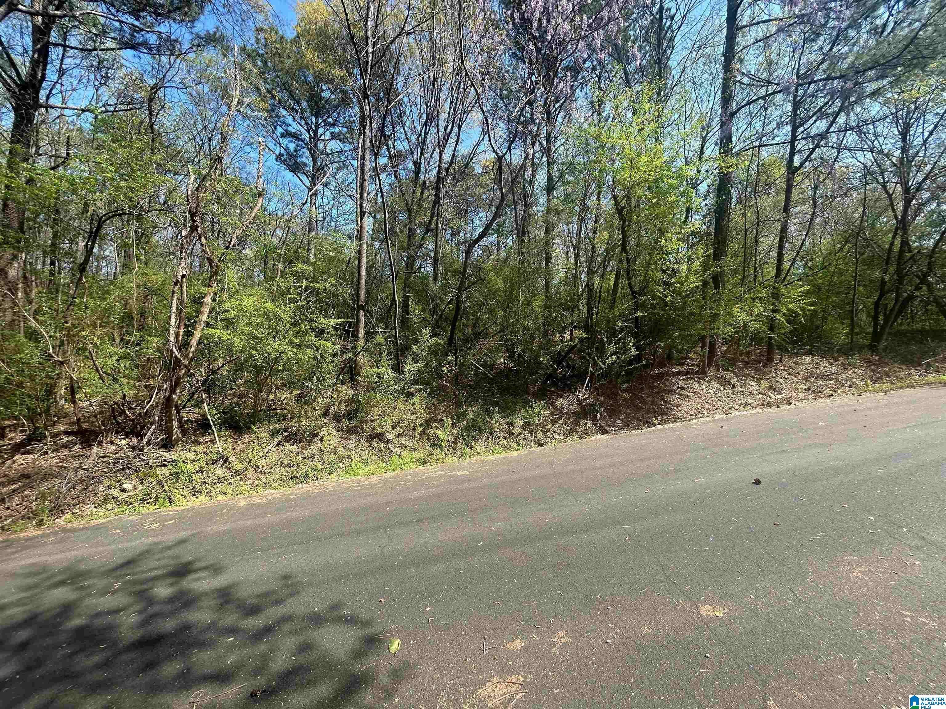 Bessemer, AL 35020,701 BUTLER AVENUE #9