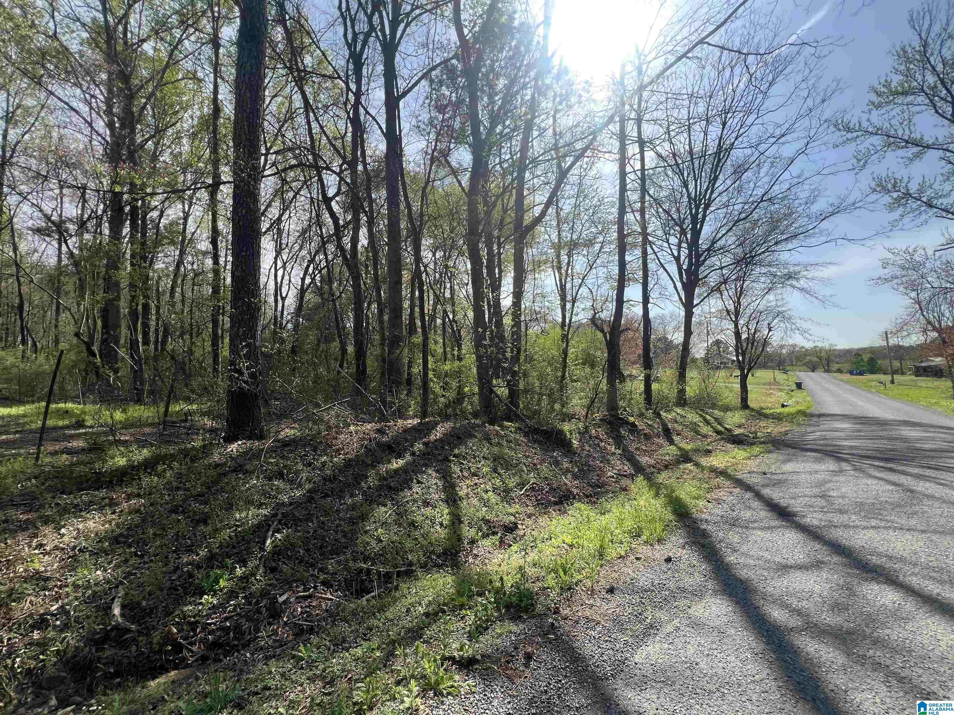 Blountsville, AL 35031,5965 COUNTY HIGHWAY 30