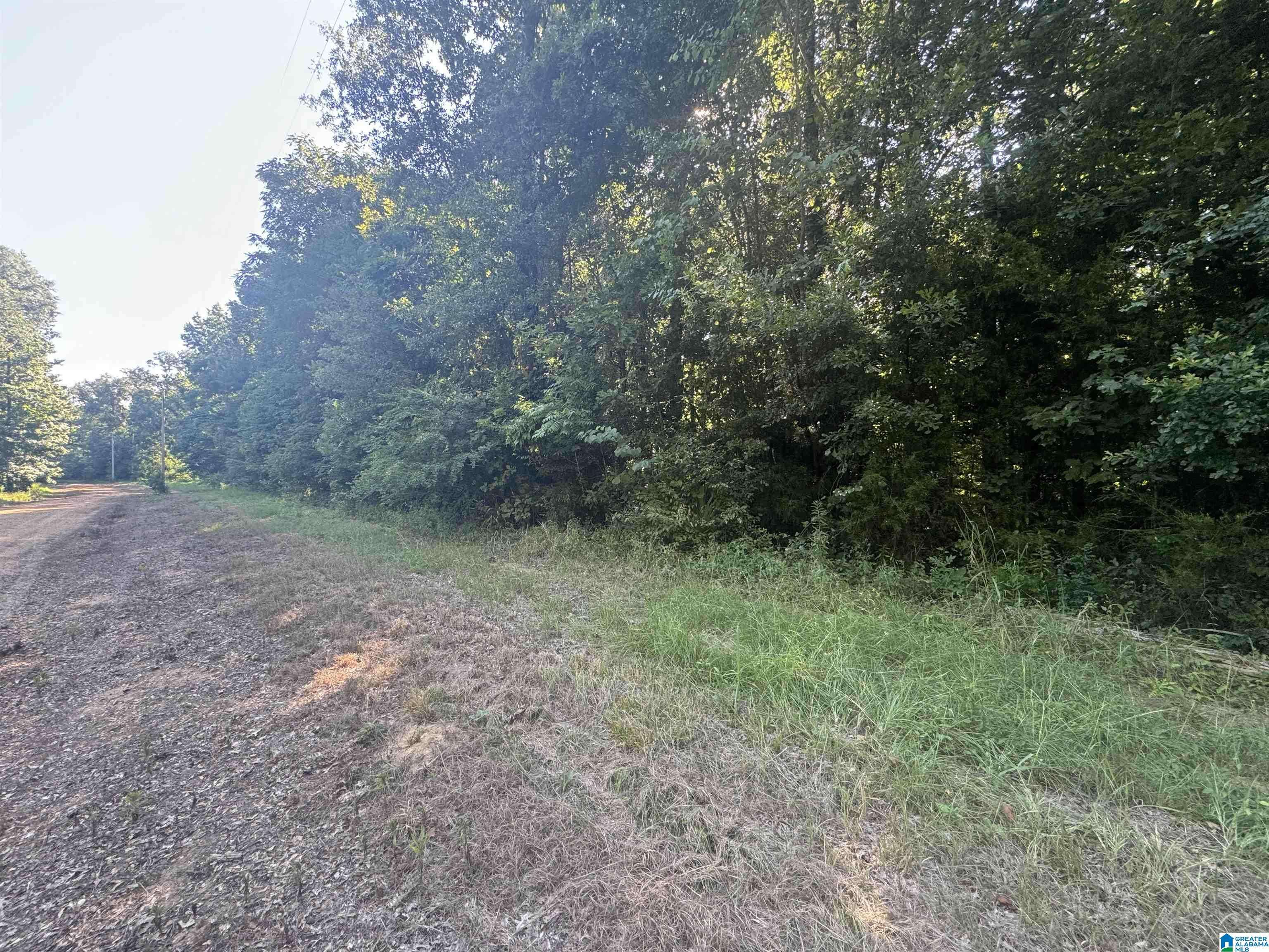 Selma, AL 36701,0 COUNTY ROAD 879 #35
