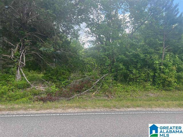 Haleyville, AL 35565,2174 COUNTY HIGHWAY 34 #1