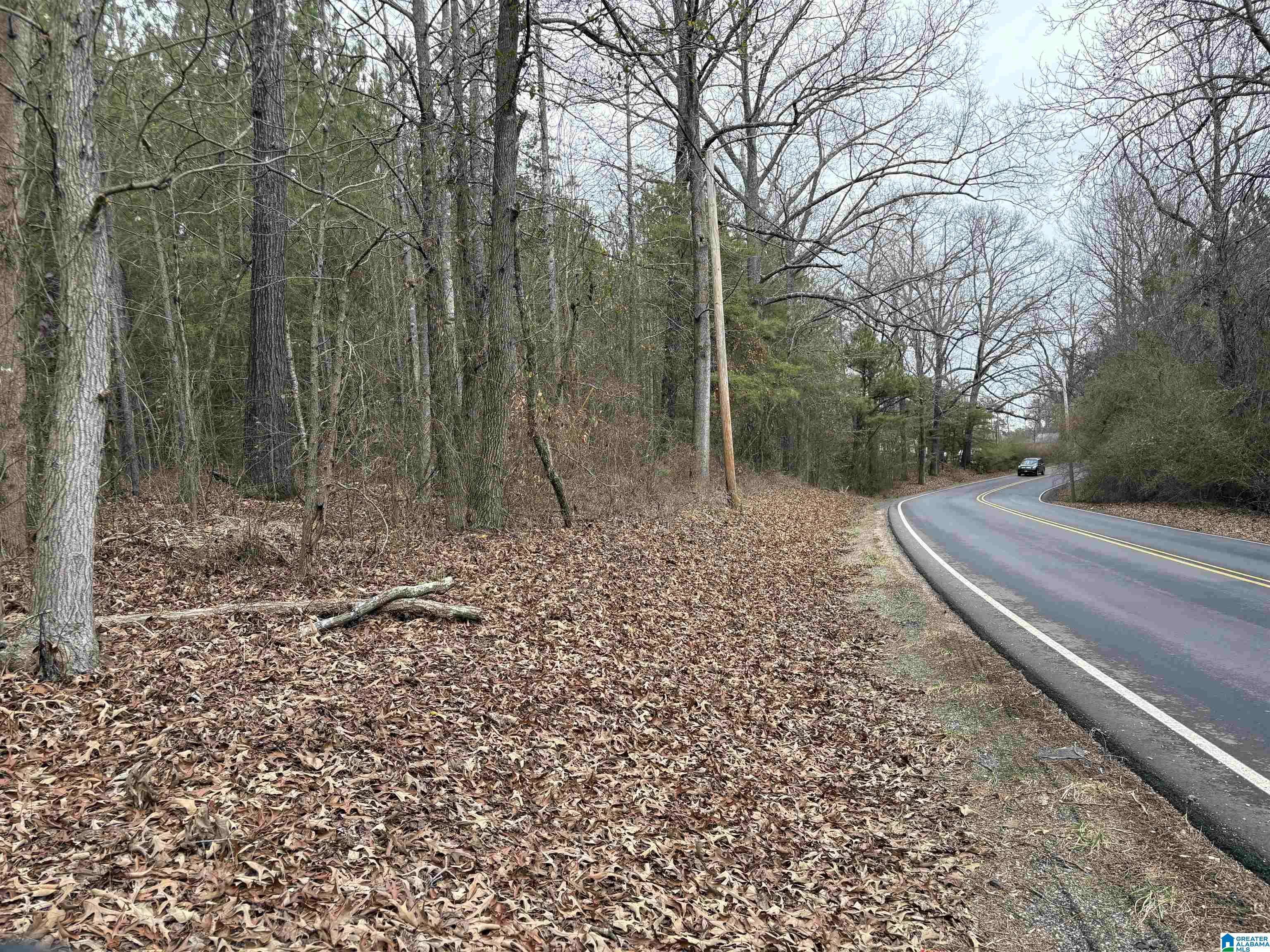 Adger, AL 35006,2590 MUD CREEK ROAD #1