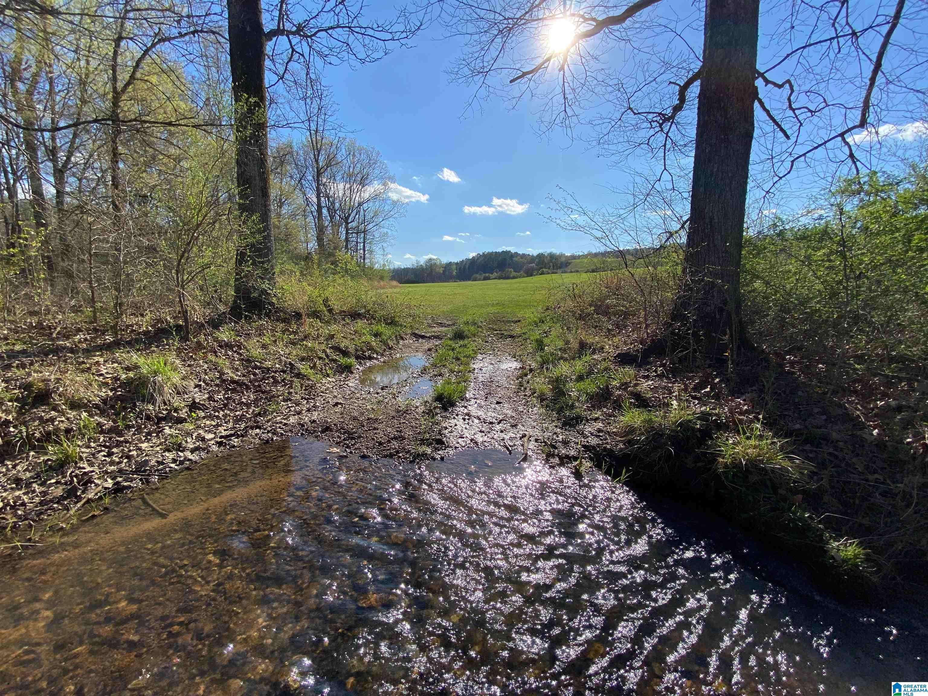 Springville, AL 35146,0 HIGHWAY 174 #Tract 8