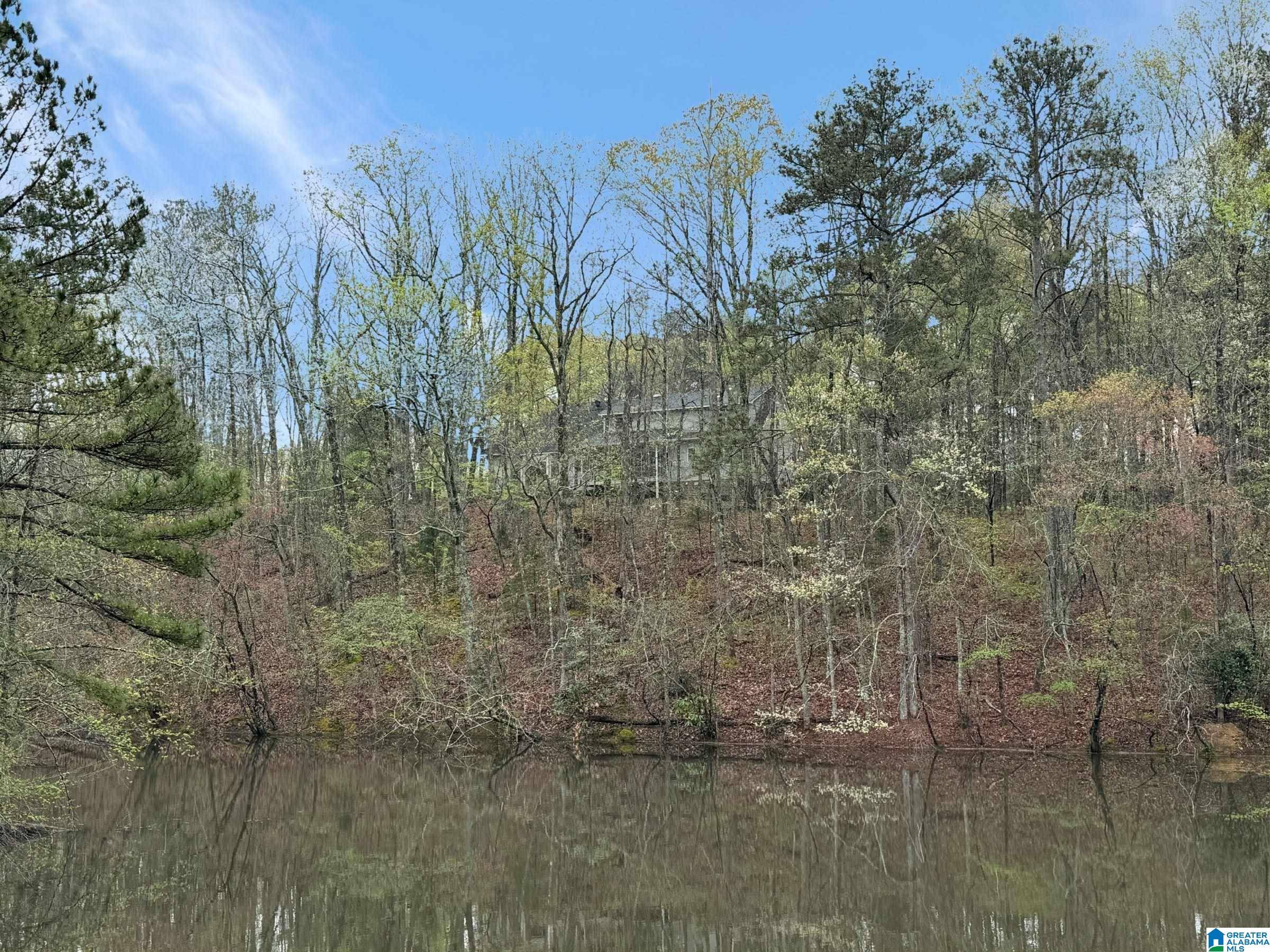 Columbiana, AL 35051,111 RED BUD ROAD