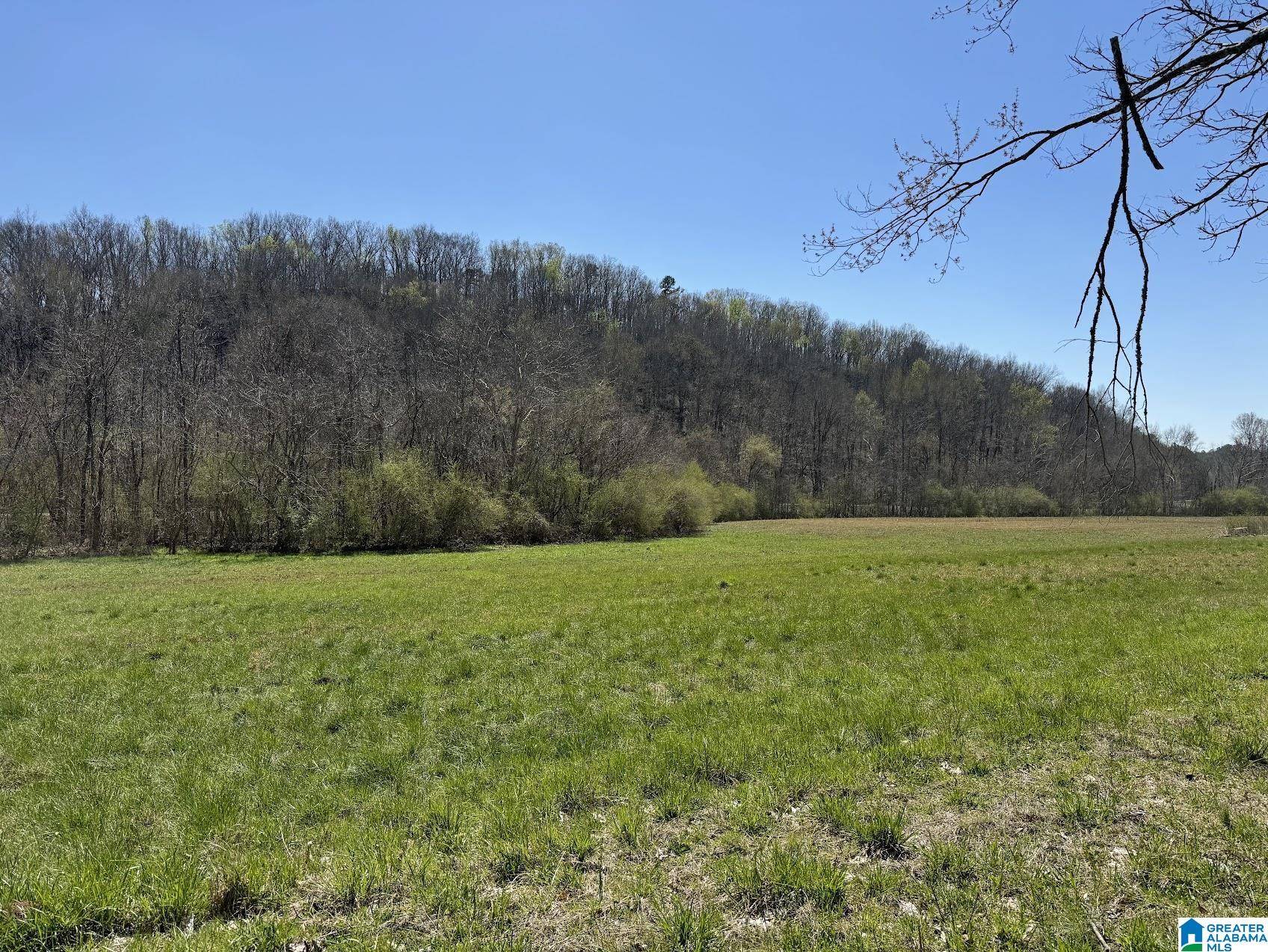 Talladega, AL 35160,000 BERNEY STATION ROAD ##1