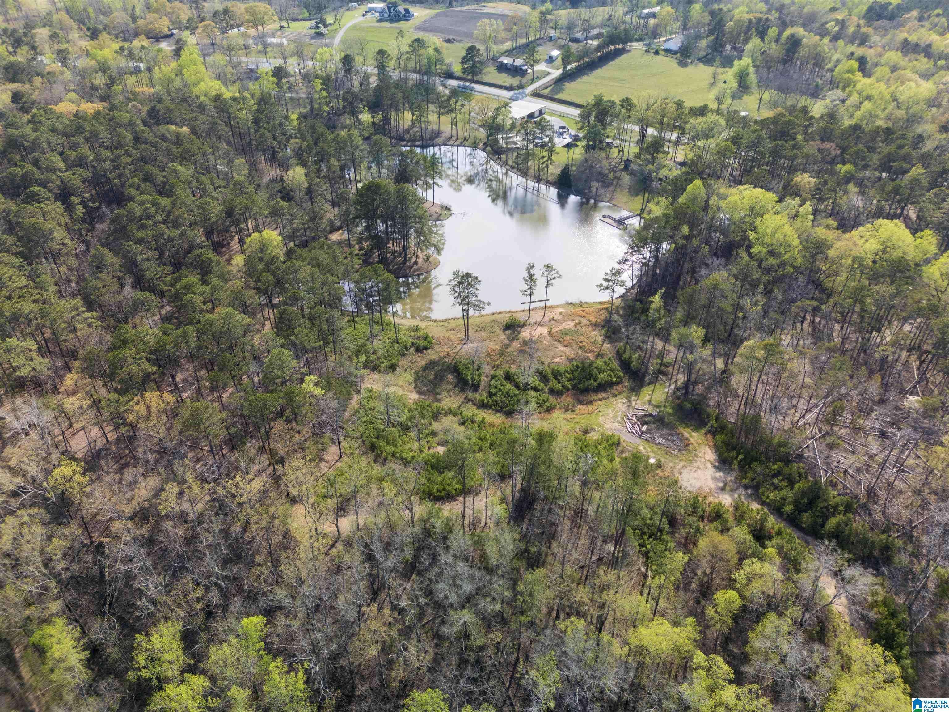 Jemison, AL 35085,4083 COUNTY ROAD 158