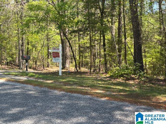 Brierfield, AL 35035,849 CORNELIA ROAD