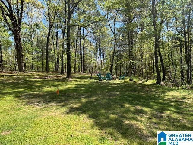 Brierfield, AL 35035,849 CORNELIA ROAD