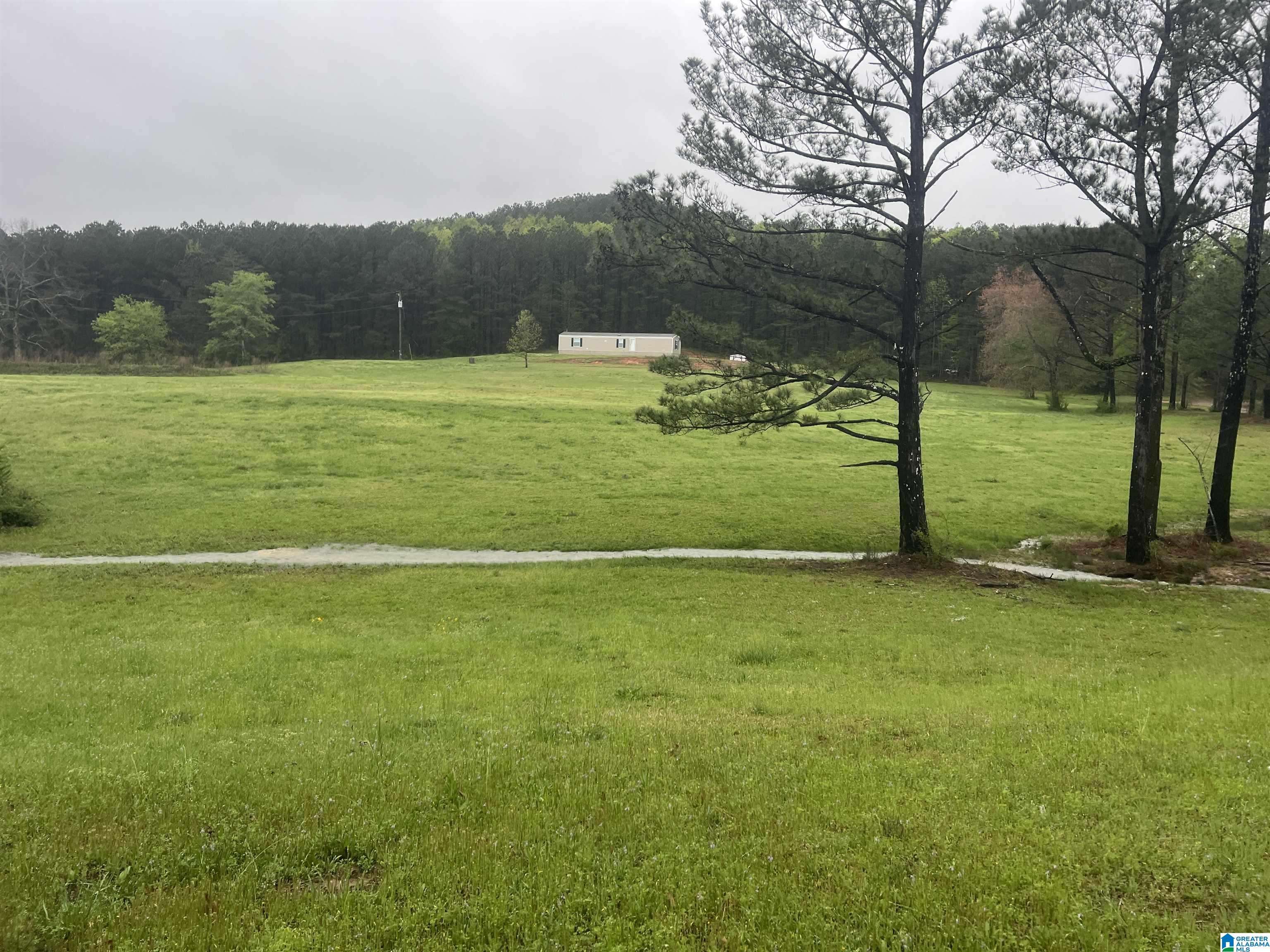 Berry, AL 35546,11970 LOST ROAD