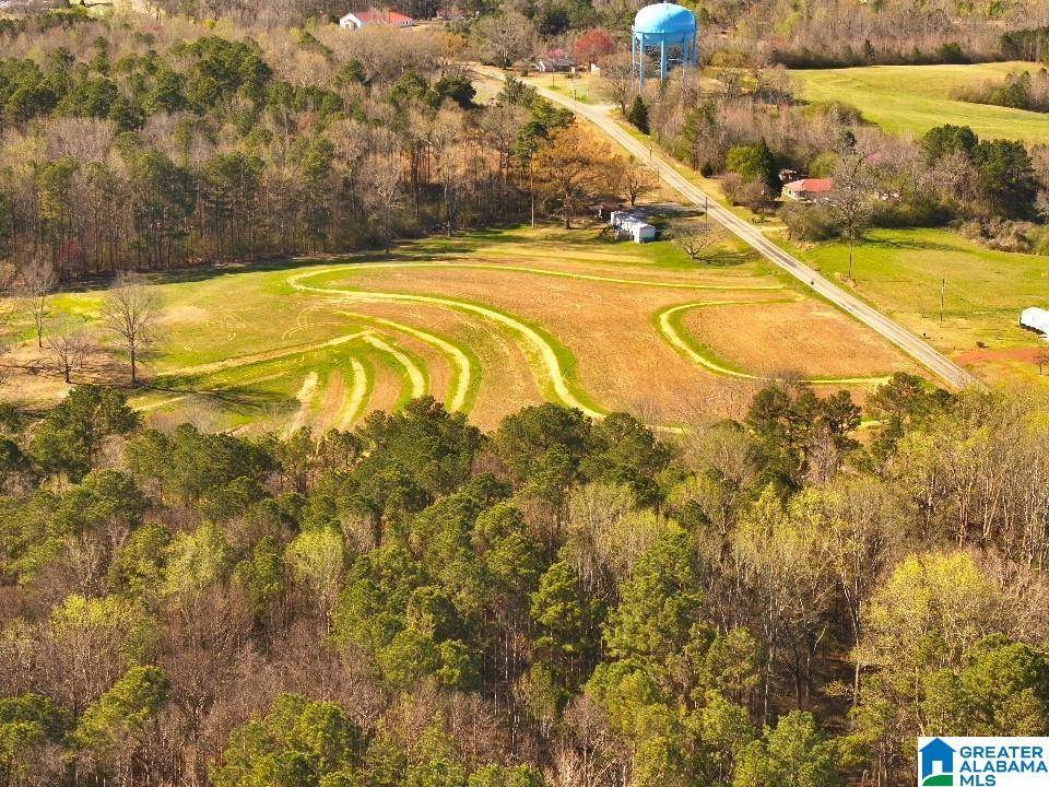 Jasper, AL 35503,0 LAMON CHAPEL ROAD #1/3