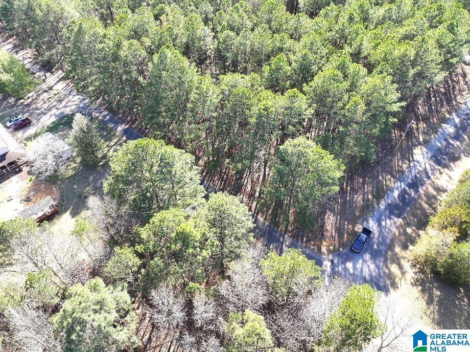 Jasper, AL 35503,0 CLEARVIEW ROAD #3/17