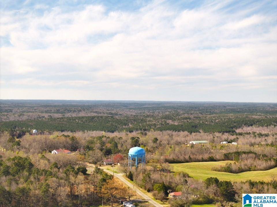 Jasper, AL 35503,0 CLEARVIEW ROAD #3/17