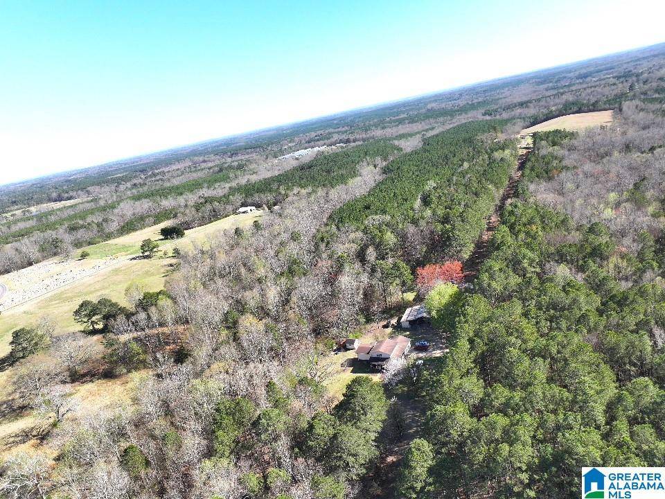 Jasper, AL 35503,0 CLEARVIEW ROAD #3/17