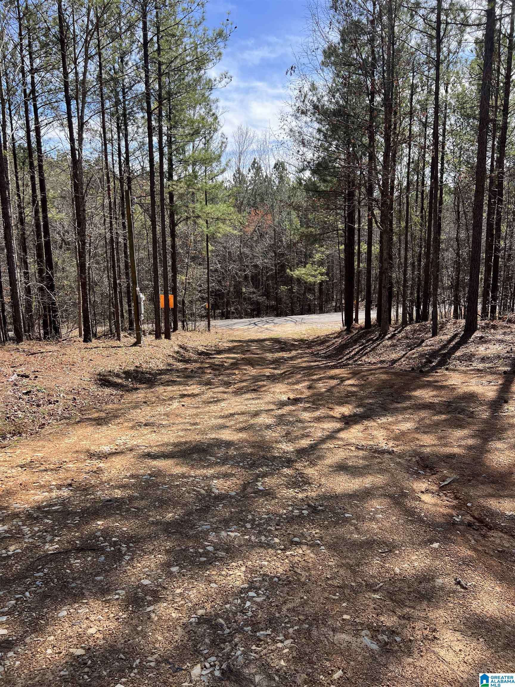 Cropwell, AL 35054,780 SWEET APPLE ROAD #1